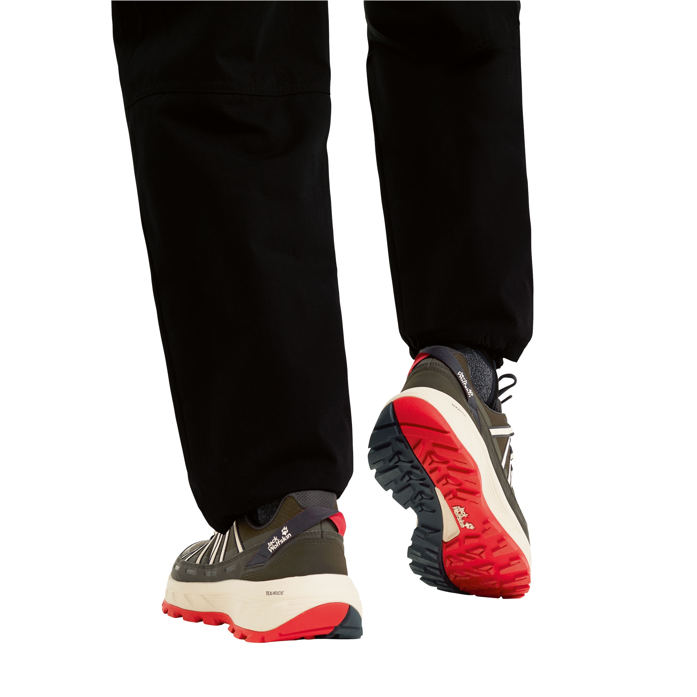 Jack Wolfskin Wanderschuh »WILD HIKE TEXAPORE LOW M«  wasserdicht, Trekkingschuh
