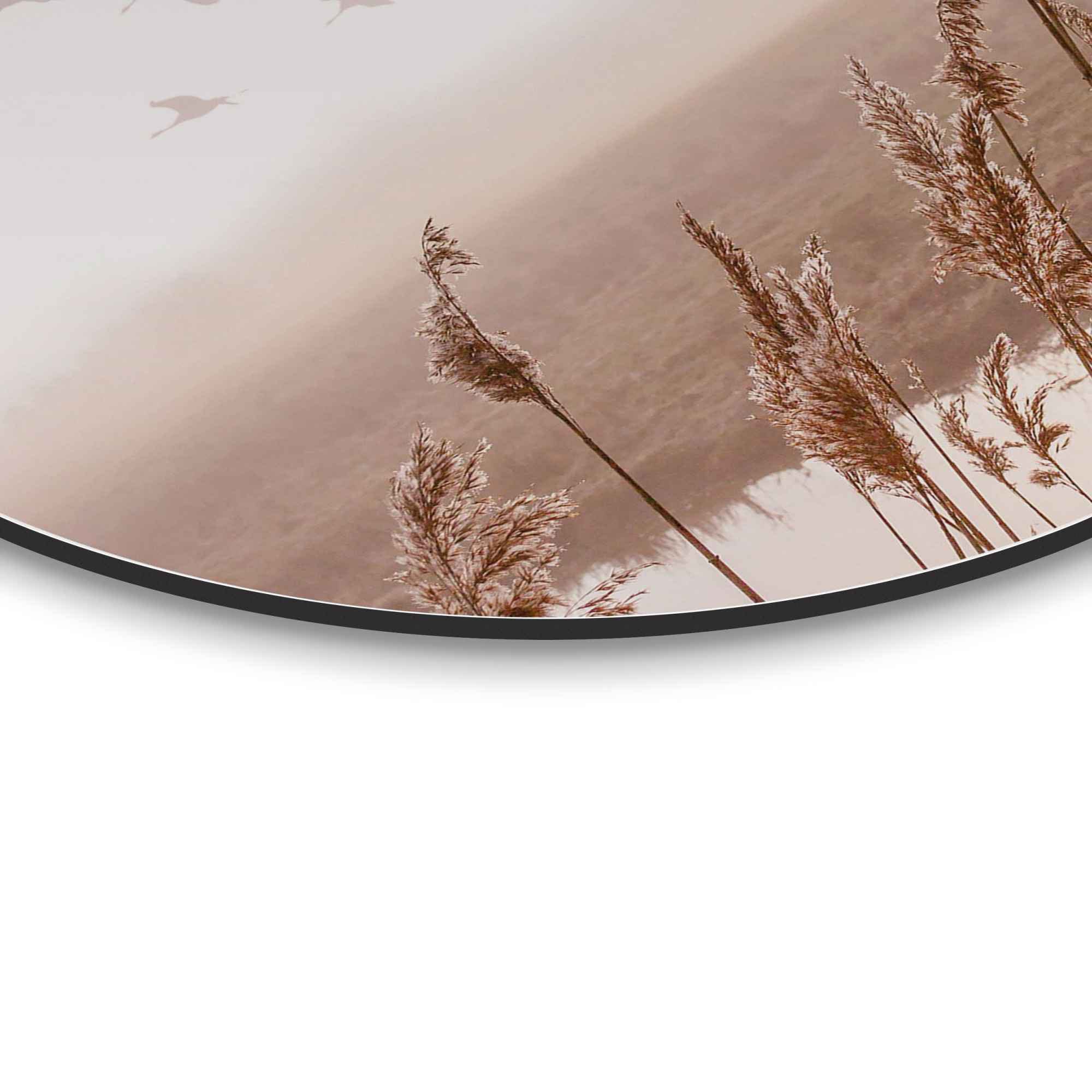 Reinders! Wandbild »Wandbild Fliegende Horizont«, | BAUR St.) - Vögel, Gänse bestellen - (1 Pampasgras - Himmel Sommer