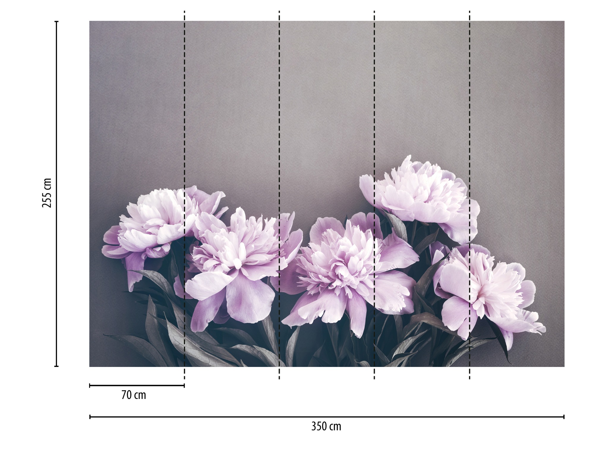 A.S. Création Vliestapete »Pfingstrosen Fototapete Flieder Grau  Blumendesign« matt strukturiert