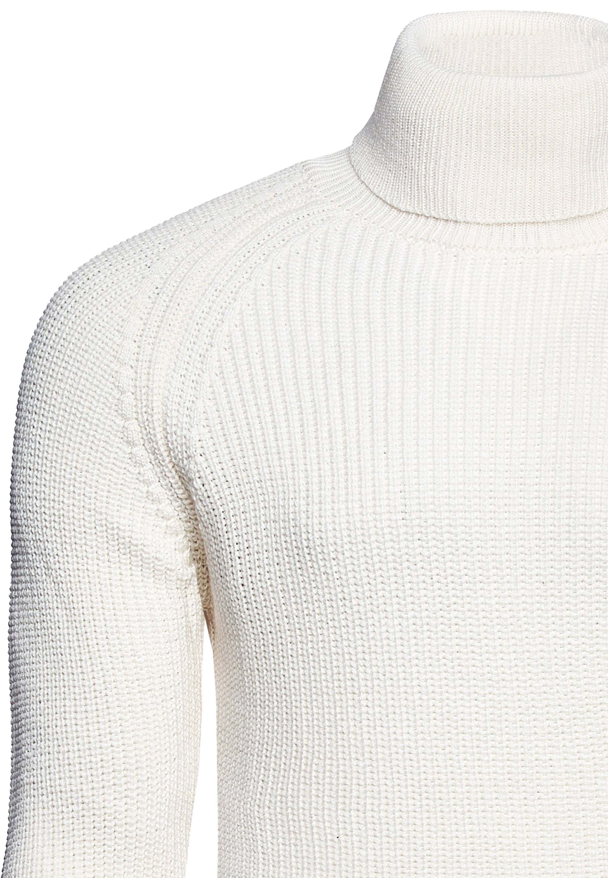 Rusty Neal Rollkragenpullover, mit kuscheligem Rollkragen