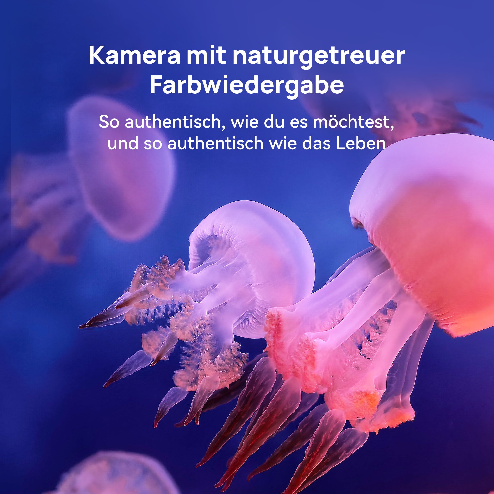 Huawei Smartphone »Mate X7« Rot