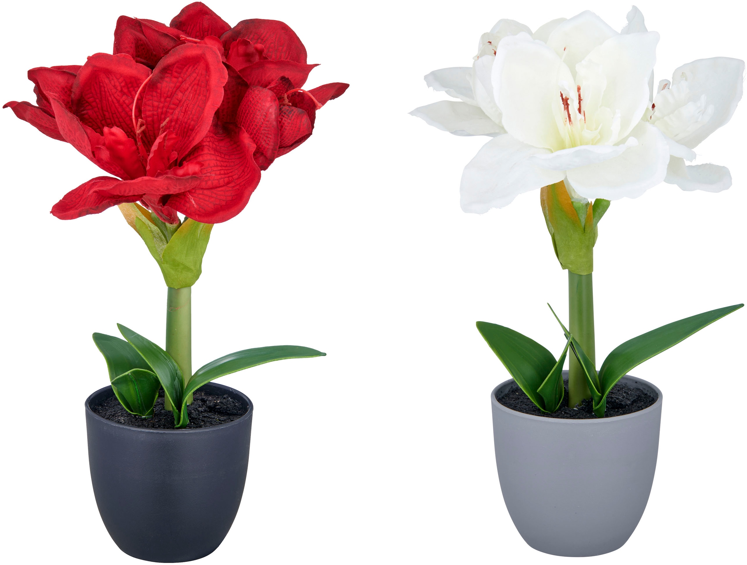 Creativ green Kunstblume "Amaryllis" günstig online kaufen