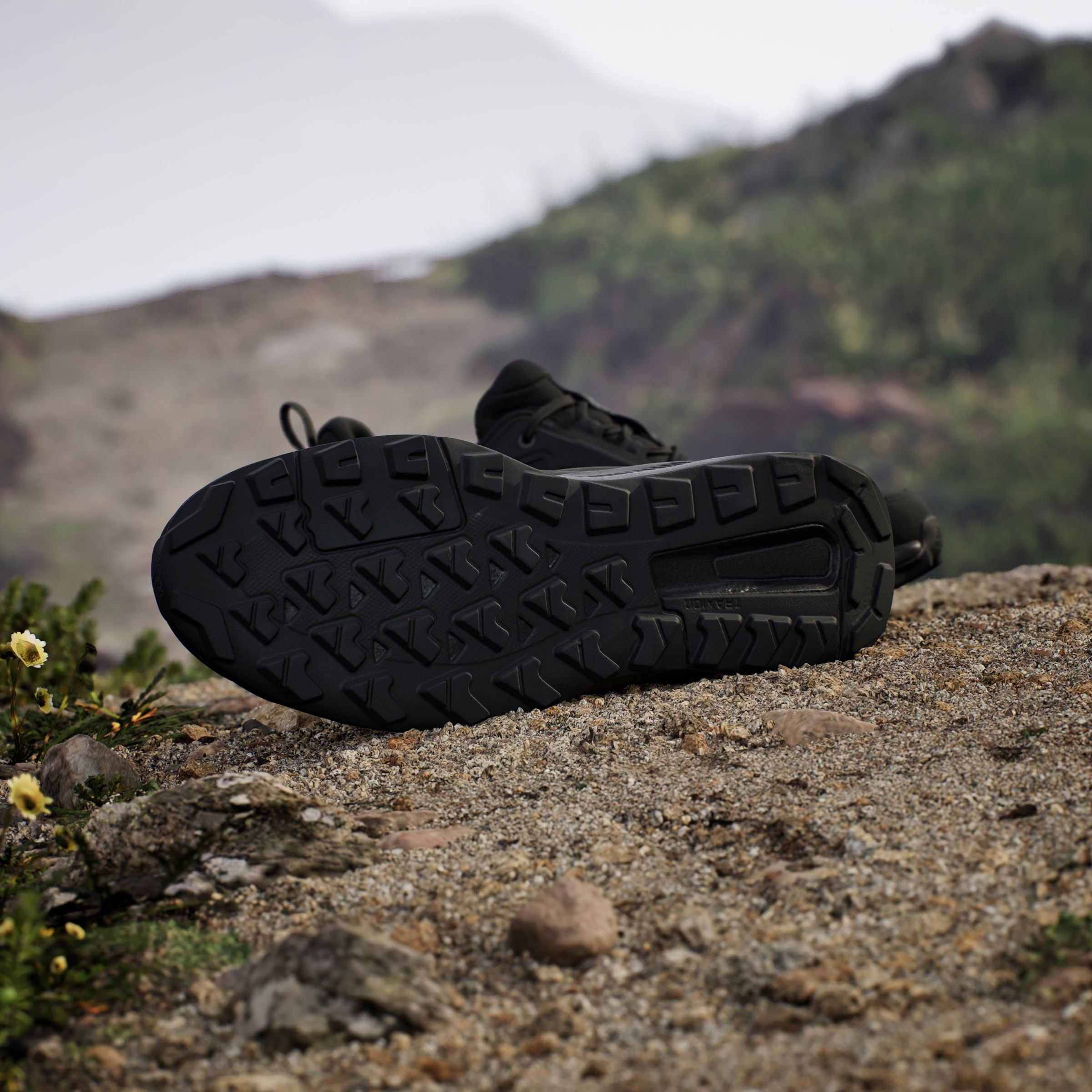 adidas TERREX Wanderschuh »TERREX ANYLANDER RAIN.RDY«, wasserdicht