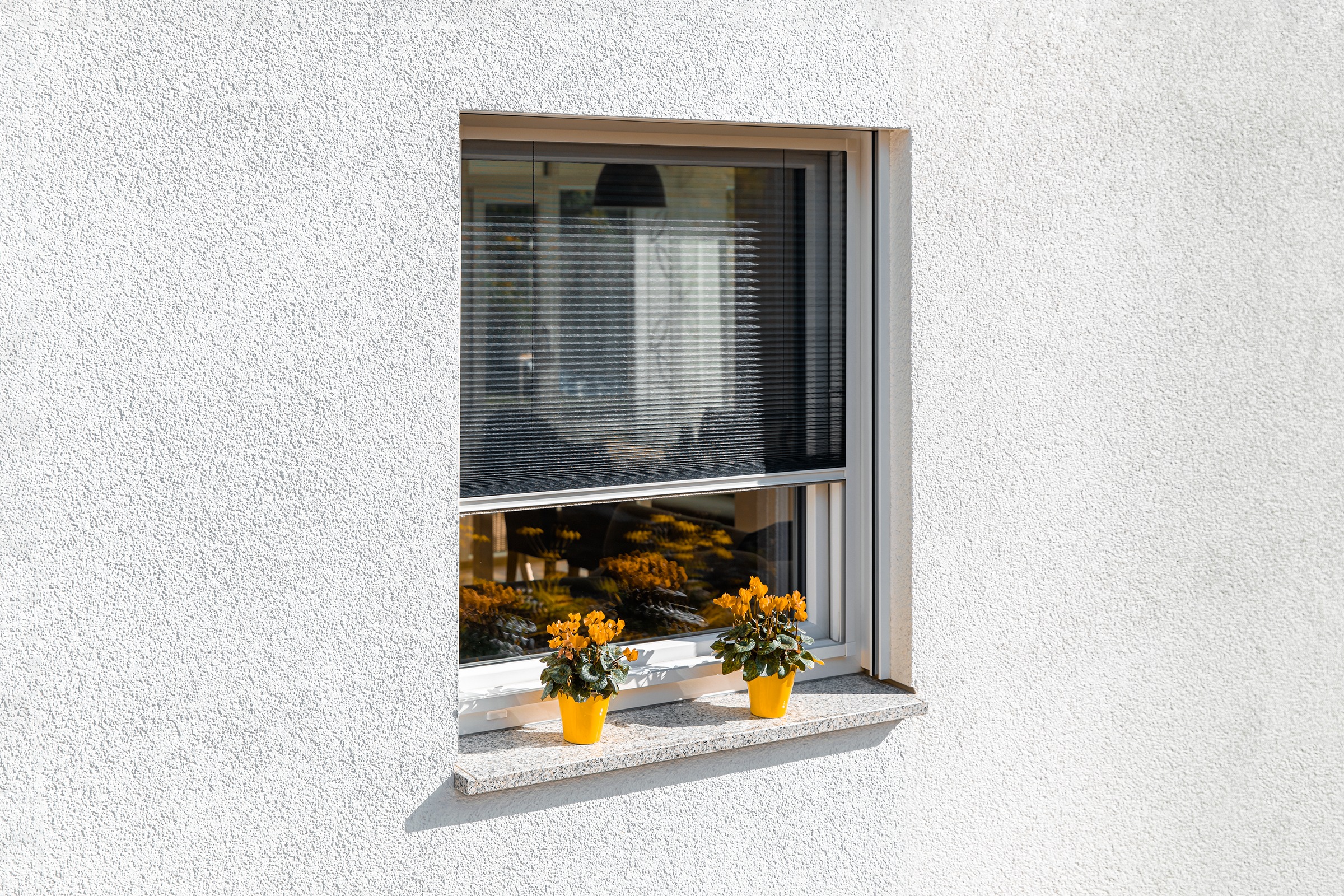 SCHELLENBERG "für Fenster in weiß ohne bohren" Insektenschutz Fliegengitter günstig online kaufen