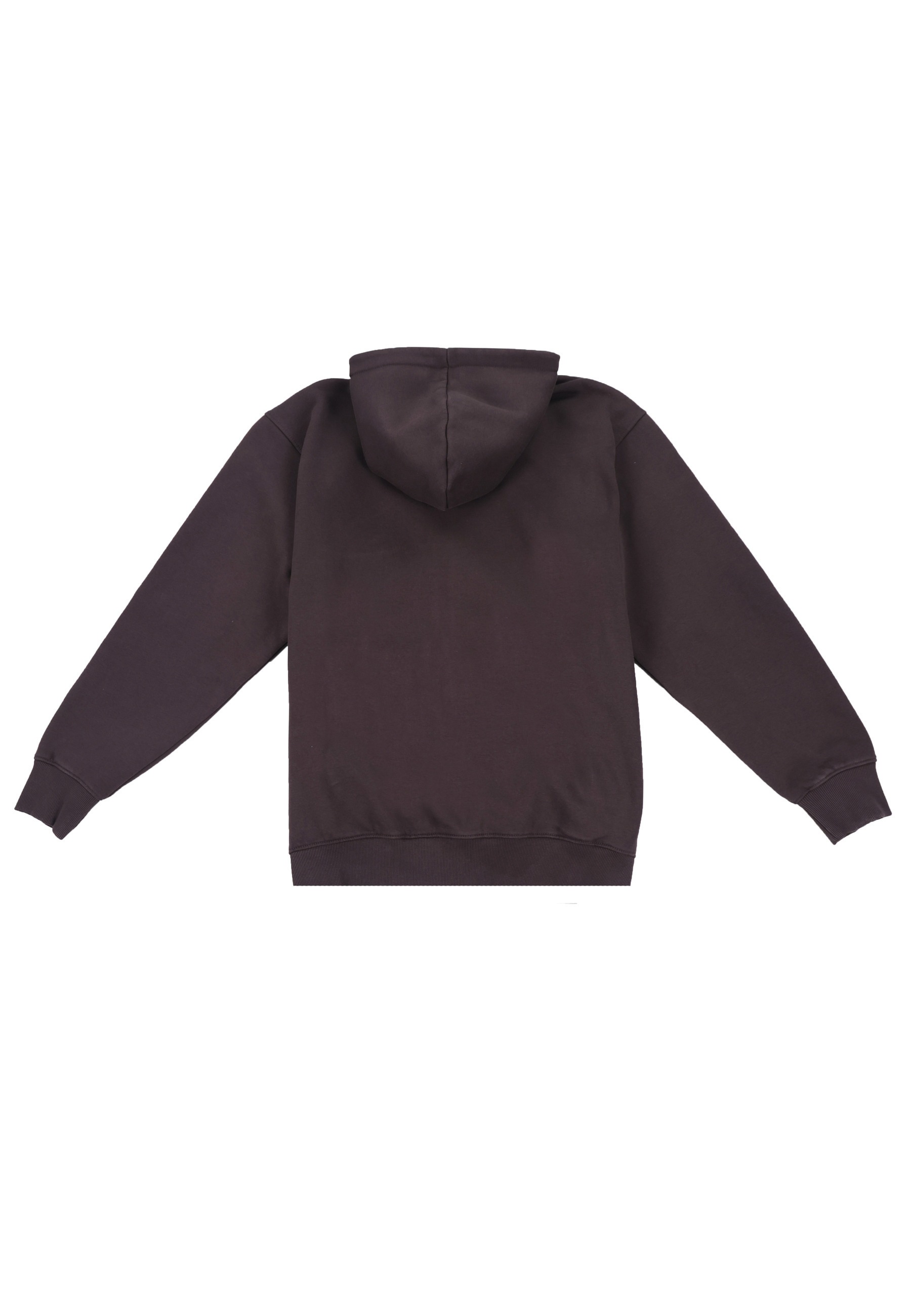 Dropsize Kapuzenpullover "Dropsize Dropsize REGULAR FIT ZIP-HOODIE" 1 tlg. günstig online kaufen