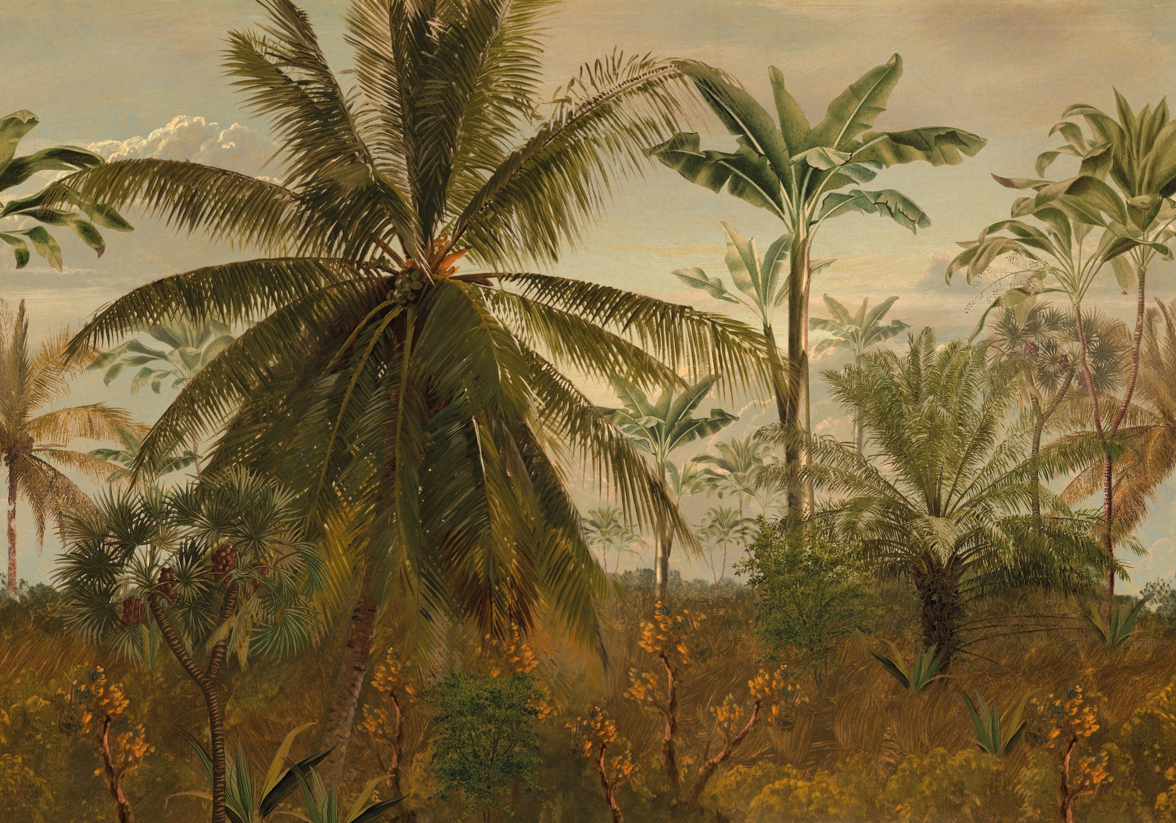 LOOKS by Wolfgang Joop Fototapete »Jungle Morning Sun«, Strand, 350x270cm