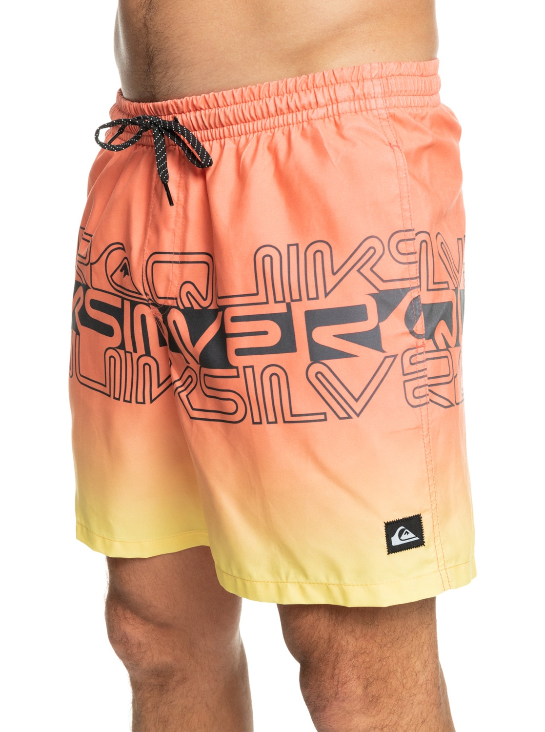 Quiksilver Boardshorts »Everyday Wordblock 17"«