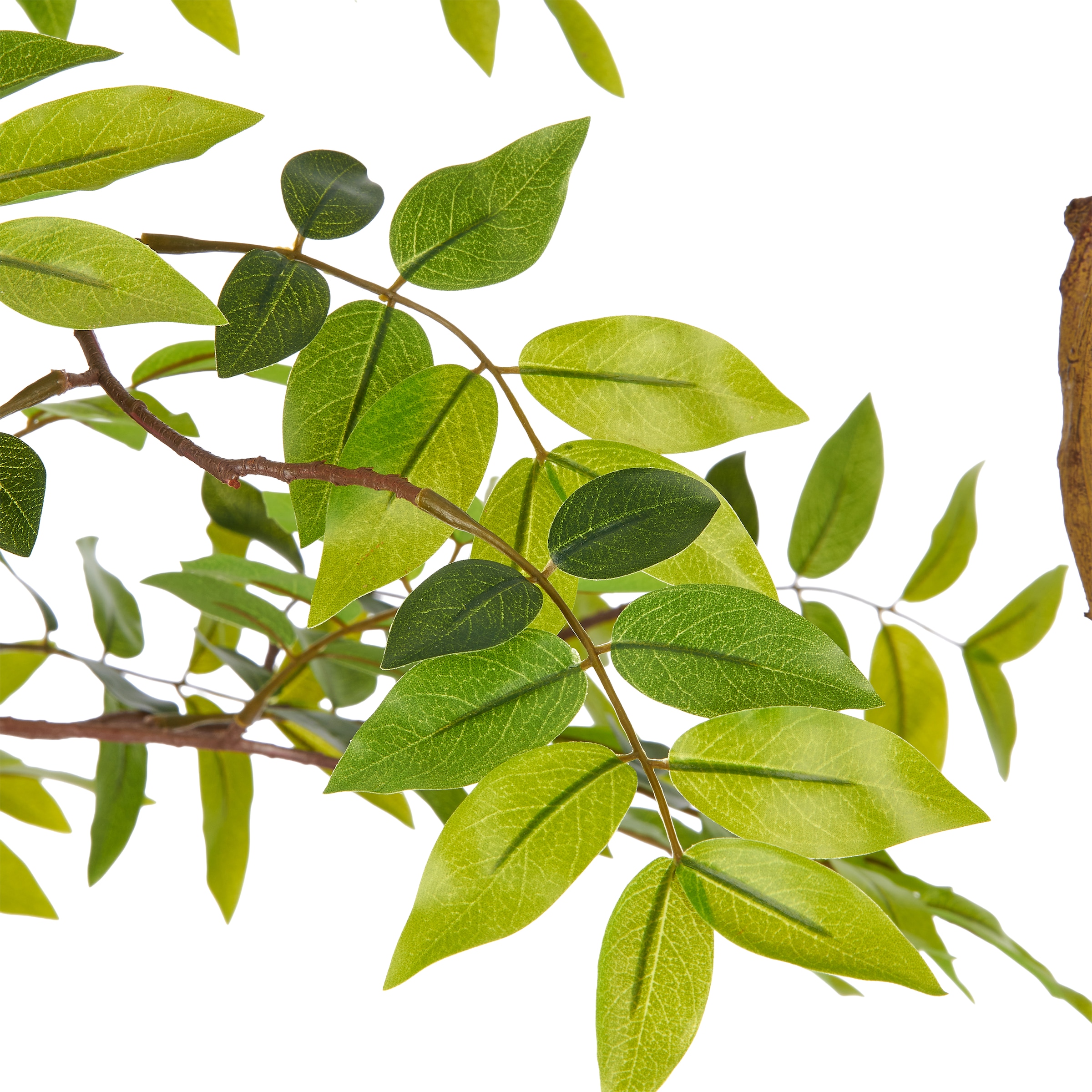 Creativ green Kunstbaum »Jaboticaba« in beeindruckender Größe