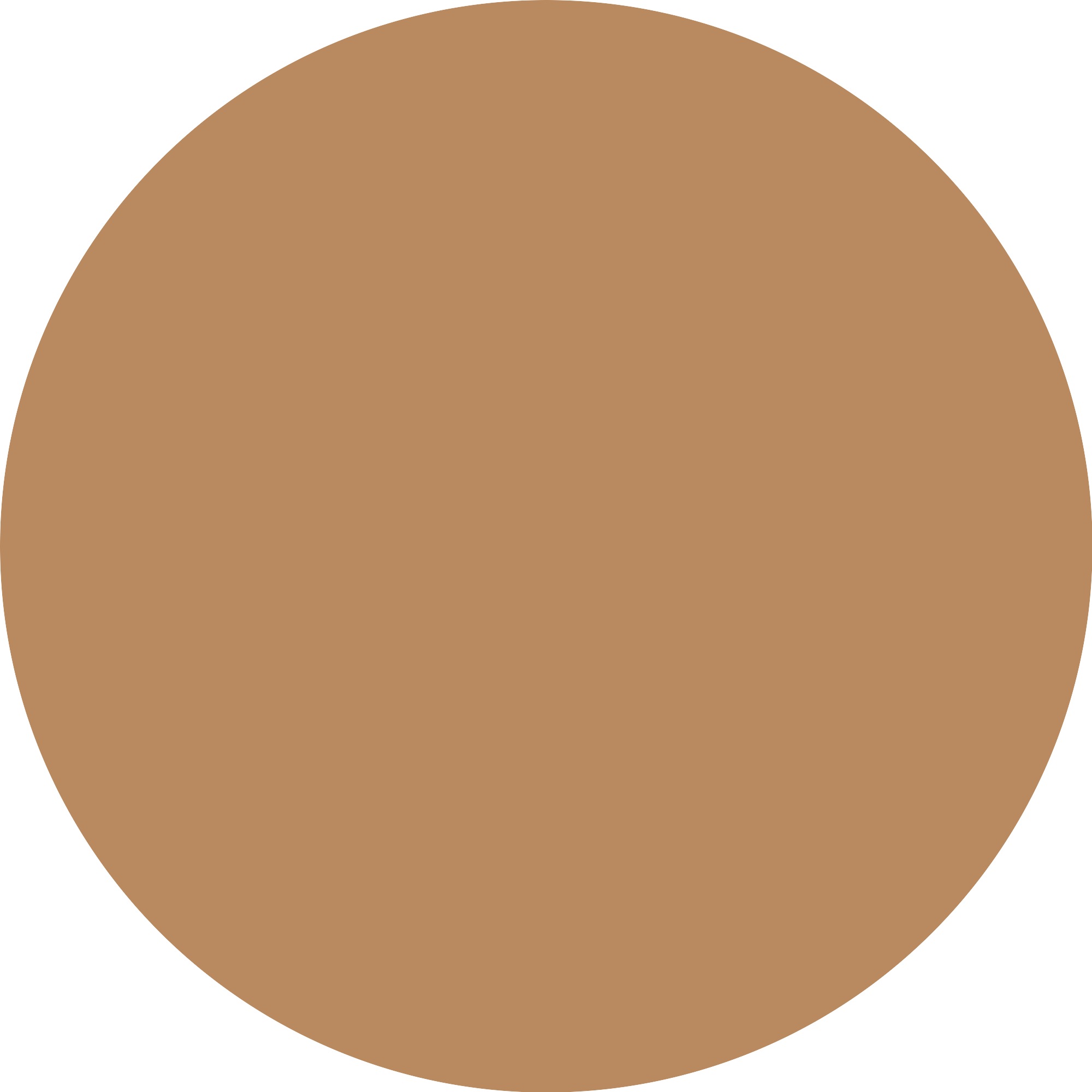 Catrice Foundation »Skin Like Tinted Moisturizer«