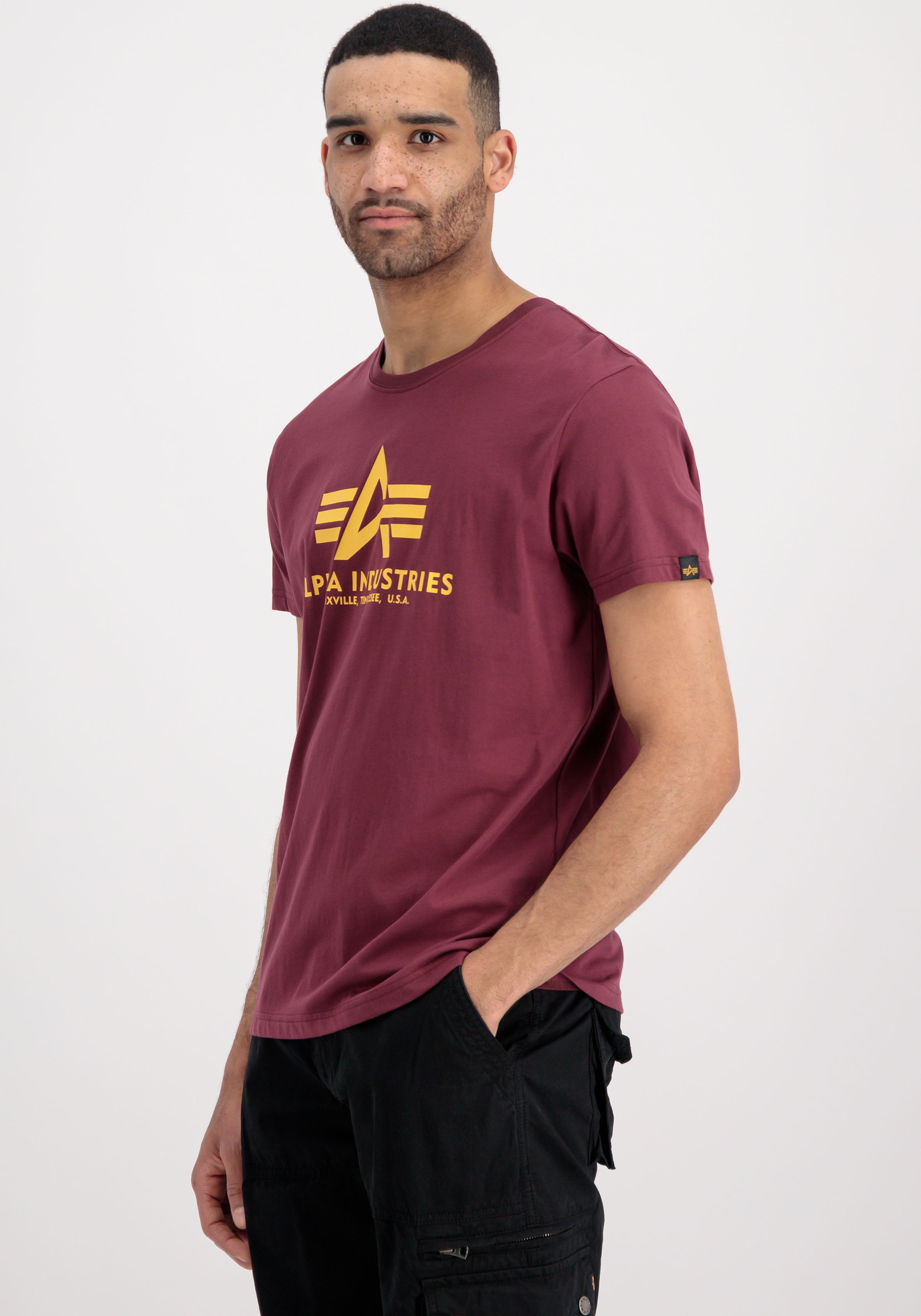 Alpha Industries Rundhalsshirt "Basic T 2 Pack" Set, 2 Stk. günstig online kaufen