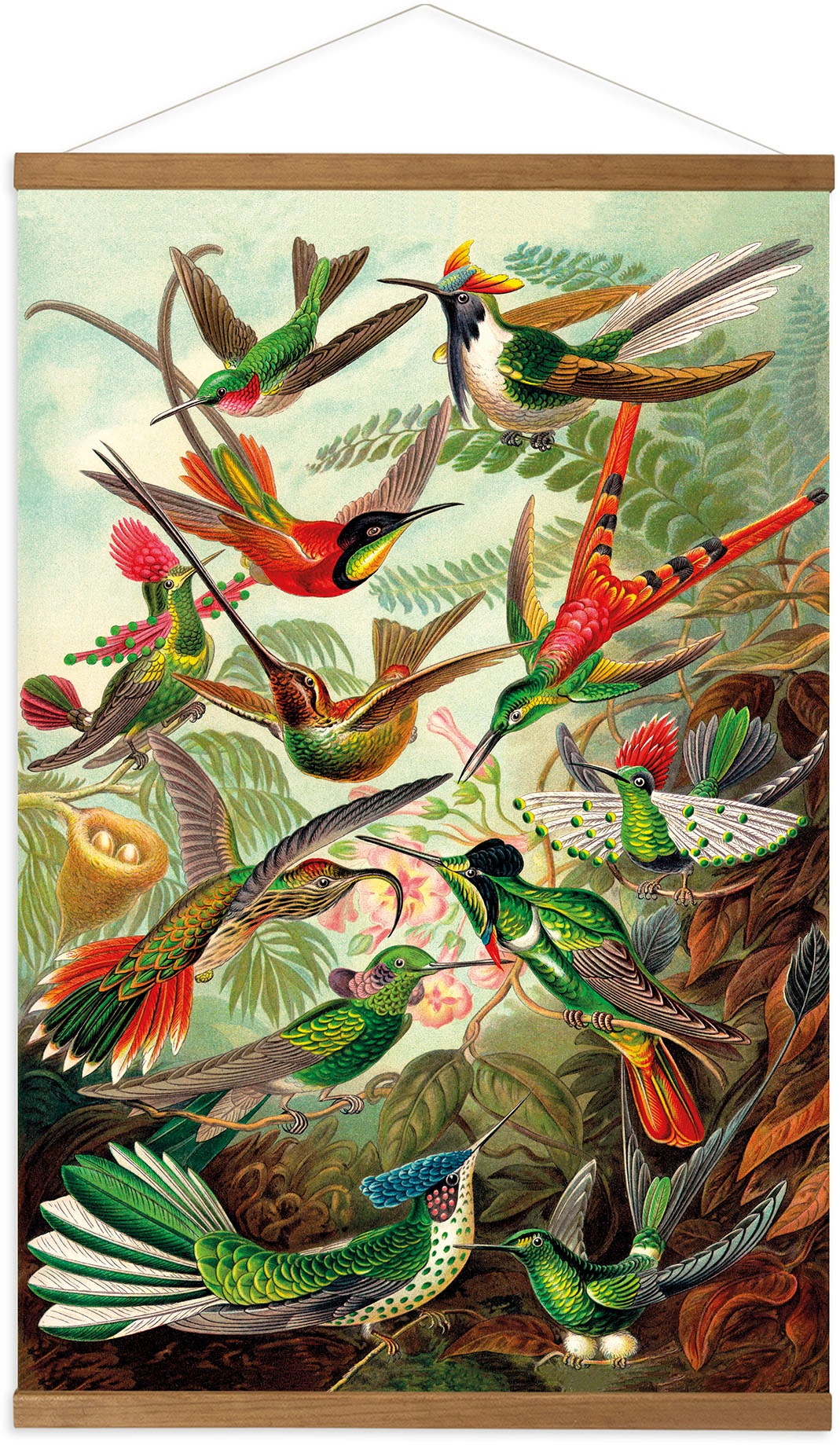 Art for the home Leinwandbild "Hummingbirds", (1 St.), Luxus Kakemono Leine günstig online kaufen