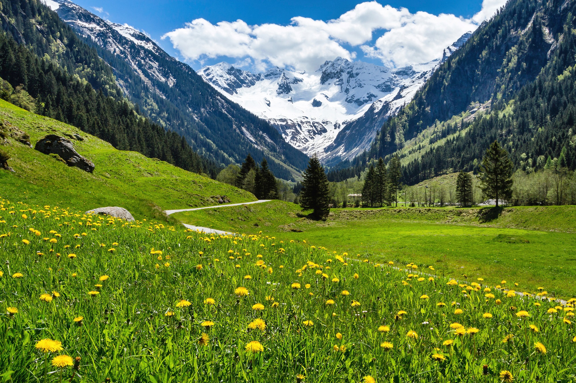 Papermoon Fototapete "ALPEN TIROL GEBIRGE" günstig online kaufen