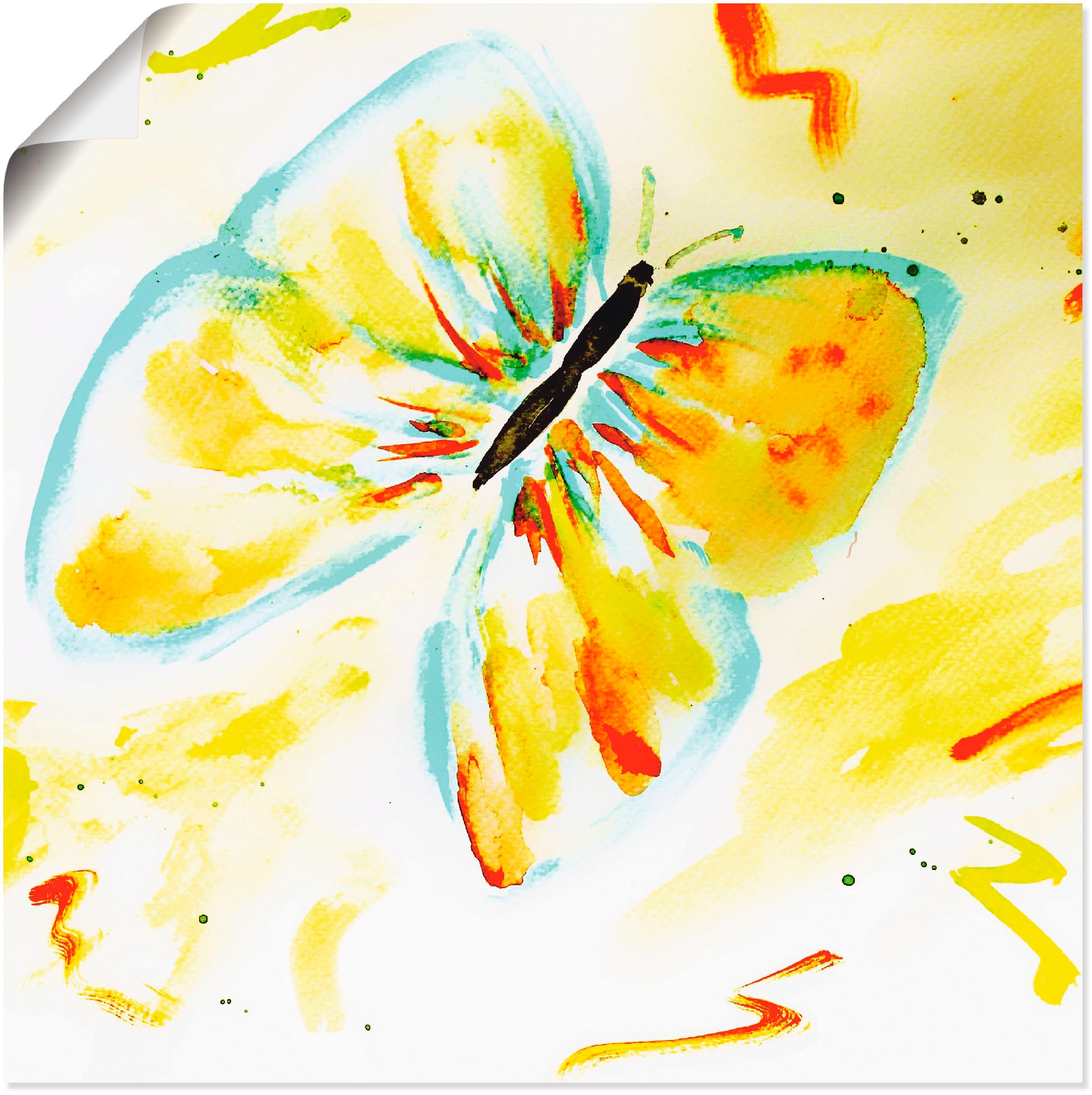 Artland Wandbild "Schmetterling" Insekten 1 Stk. tlg. als Leinwandbild, Pos günstig online kaufen