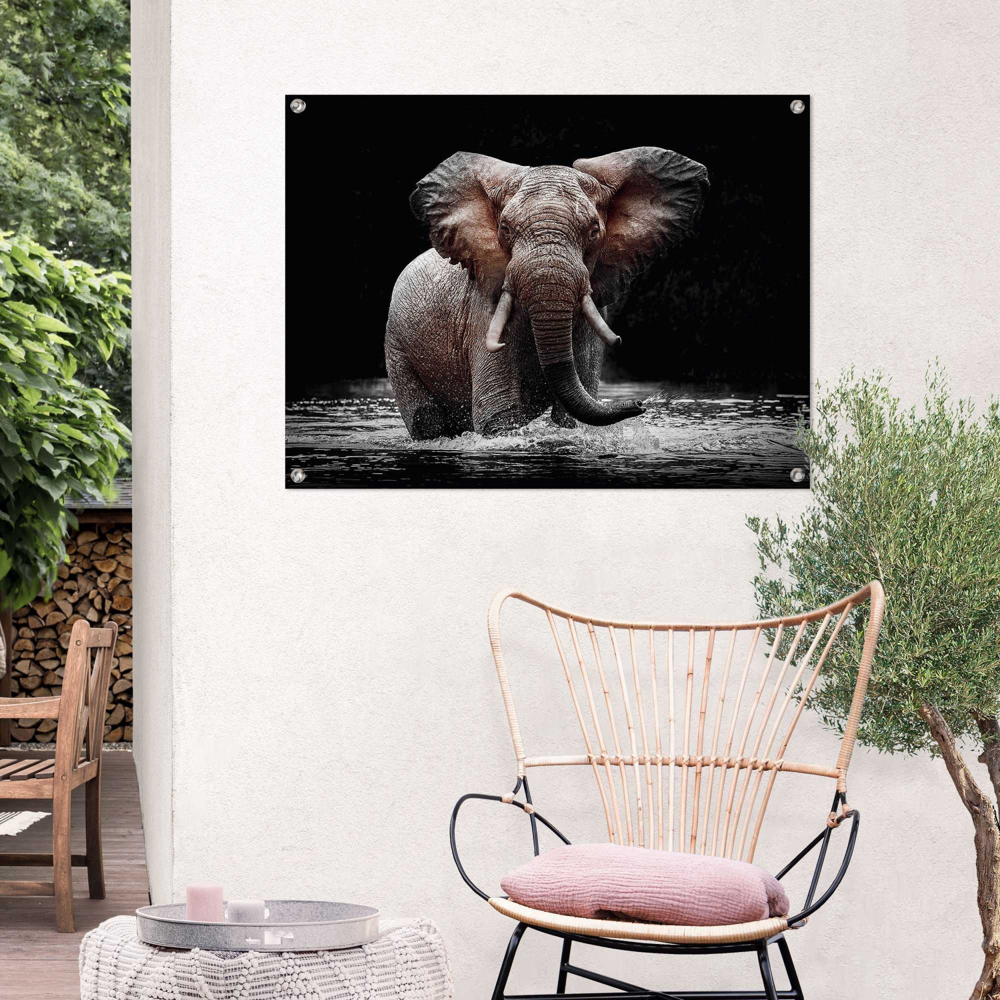 Reinders Poster "Elefant", Outdoor für Garten oder Balkon günstig online kaufen