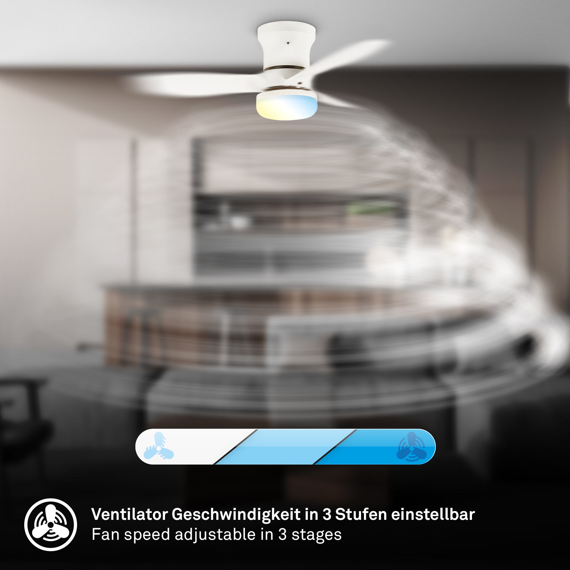 Briloner Leuchten LED Deckenleuchte »LUFITO« LED-Board 1 Stk. warmweiß - kaltweiß Schlafzimmer, Wohnzimmer, Esszimmer, Flur, Küche