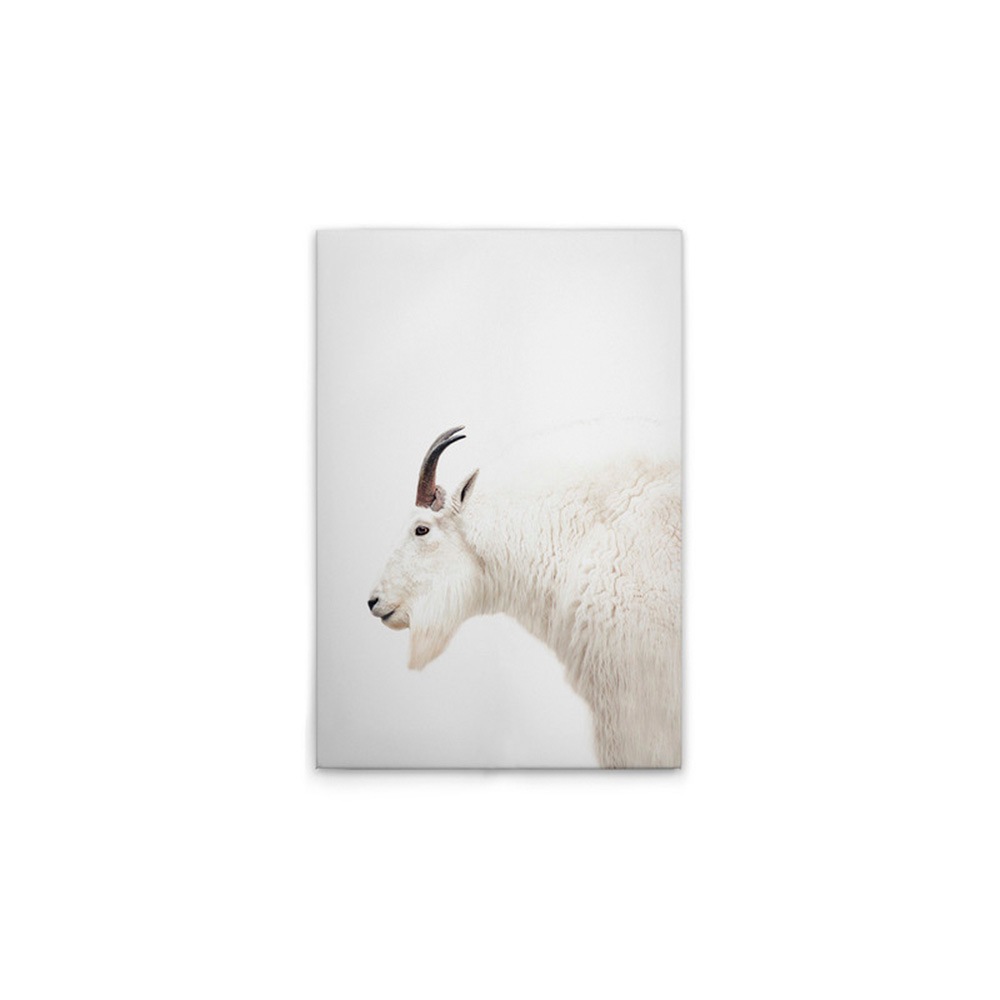 A.S. Création Leinwandbild "Mountain Goat - Wandbild Weiß Creme Keilrahmen günstig online kaufen