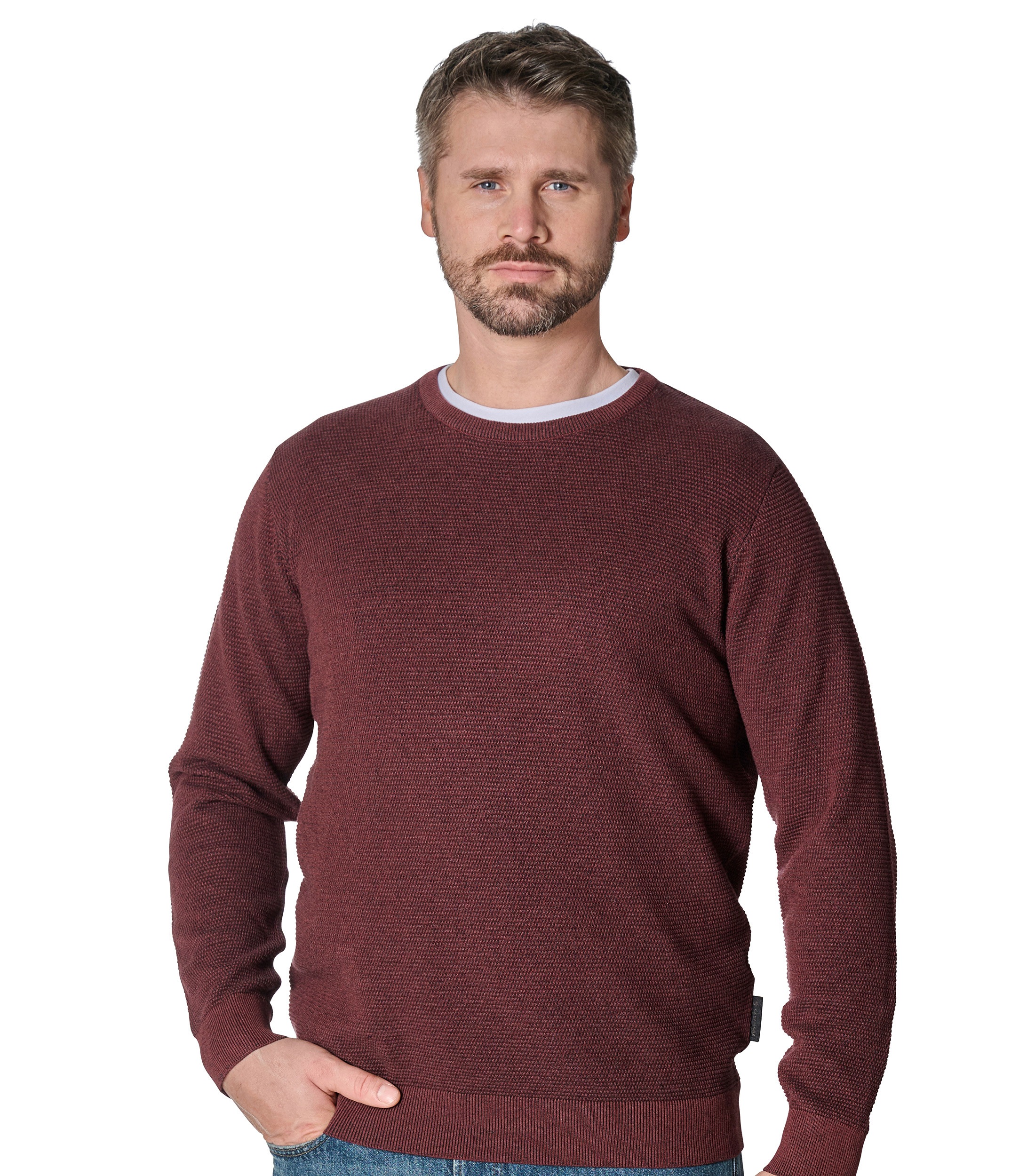 Strickpullover CASAMODA "CASAMODA Pullover uni", Herren, Gr. 5XL, rot, 100% Baumwolle, Pullover Strickpullover