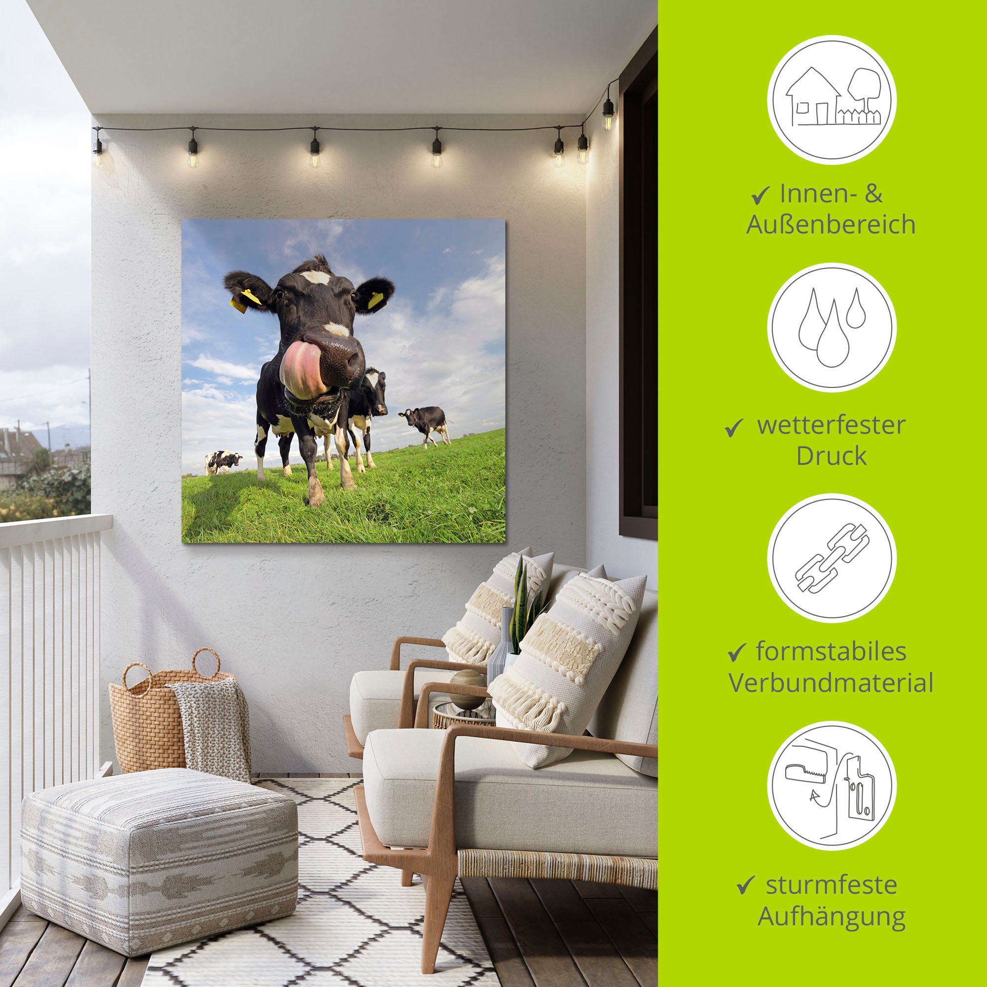 Artland Wandbild »Holstein-Kuh mit gewaltiger Zunge«, Haustiere, (1 St.), als Alubild, Outdoorbild, Leinwandbild, Poster, Wandaufkleber