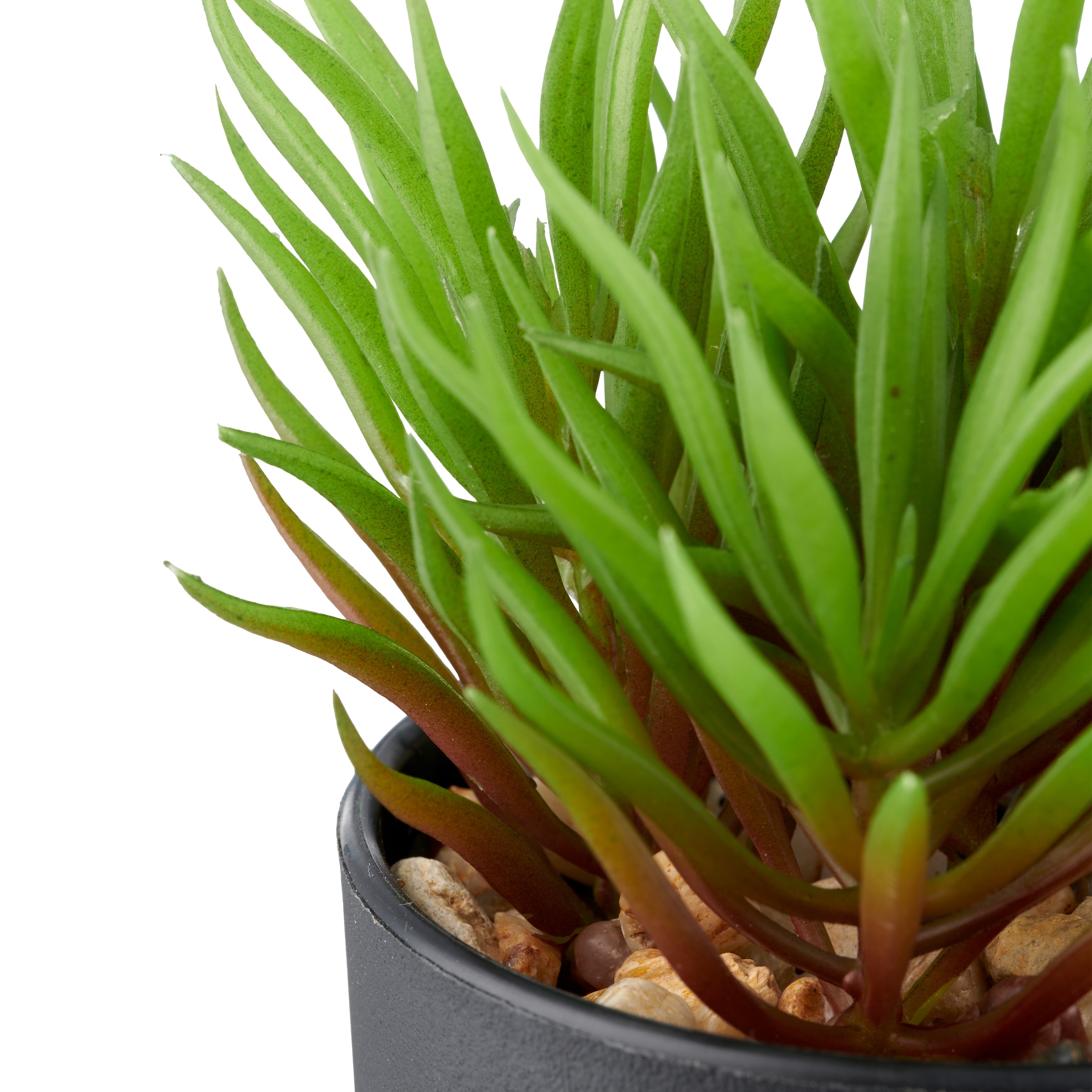 Creativ green Kunstpflanze »Sukkulenten«, mit dekorativem Kies