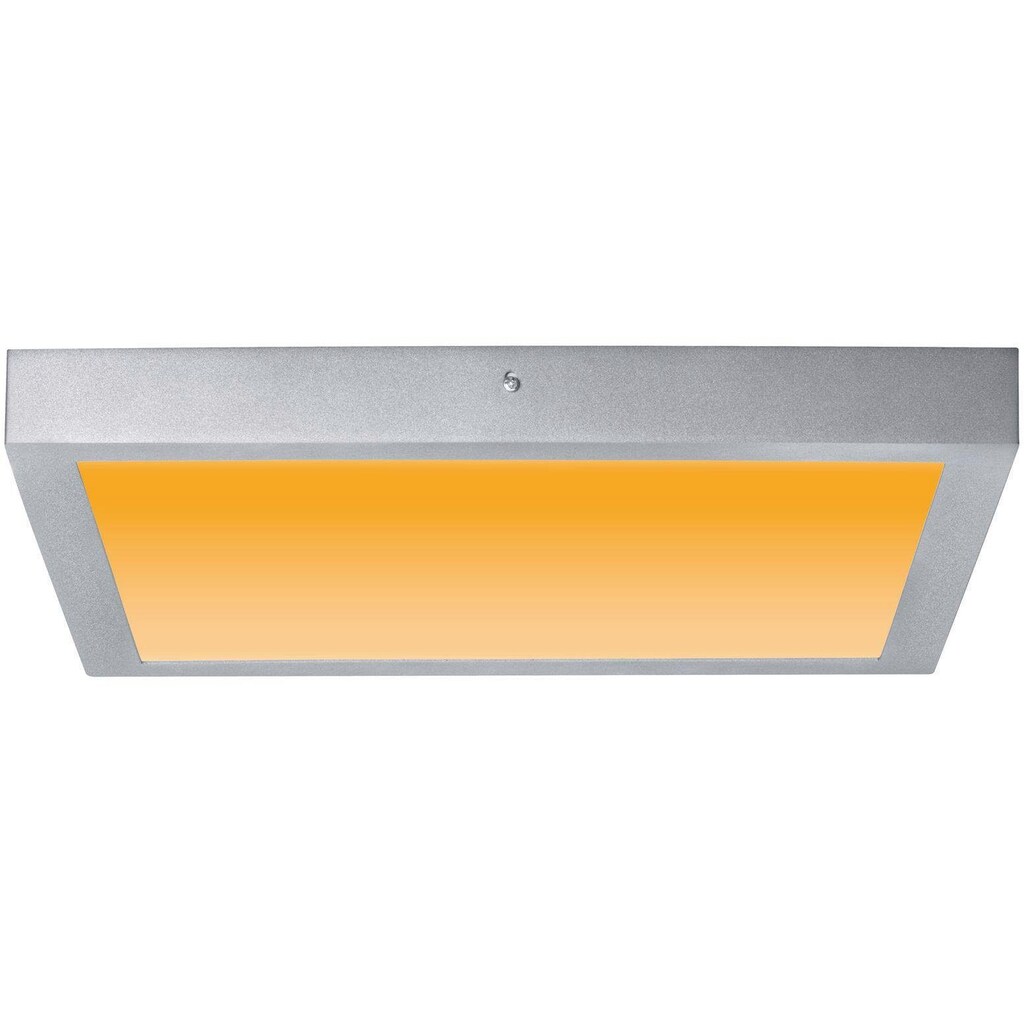 Paulmann LED Deckenleuchte »Carpo«, 1 flammig-flammig, LED-Modul, LED Deckenlampe