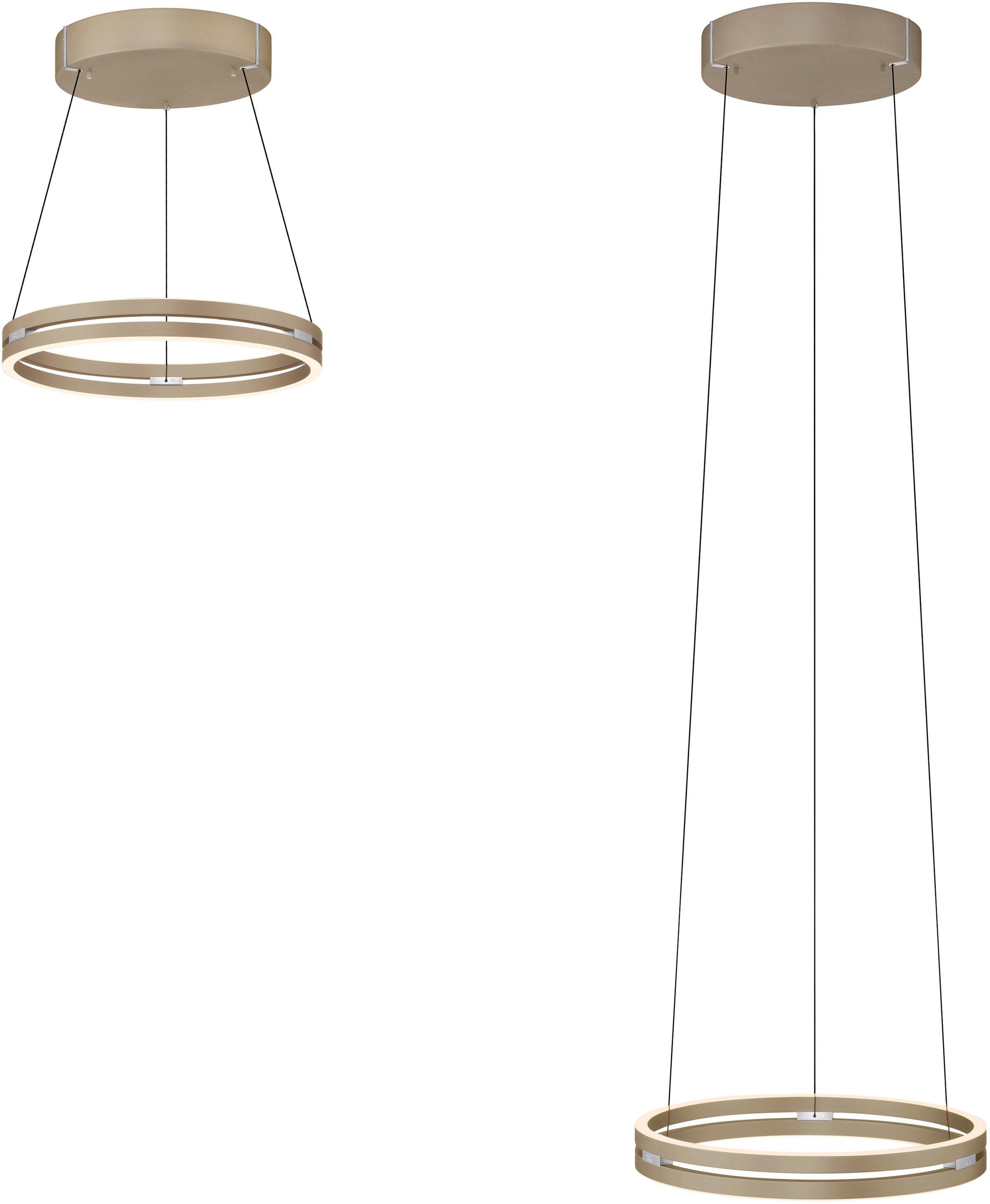 Neuhaus PURE LED Pendelleuchte »PURE E-Loop« LED-Board 1 Stk. warmweiß - kaltweiß e-LIFT® Funktion, CCT, dimmbar über Fernbedienung