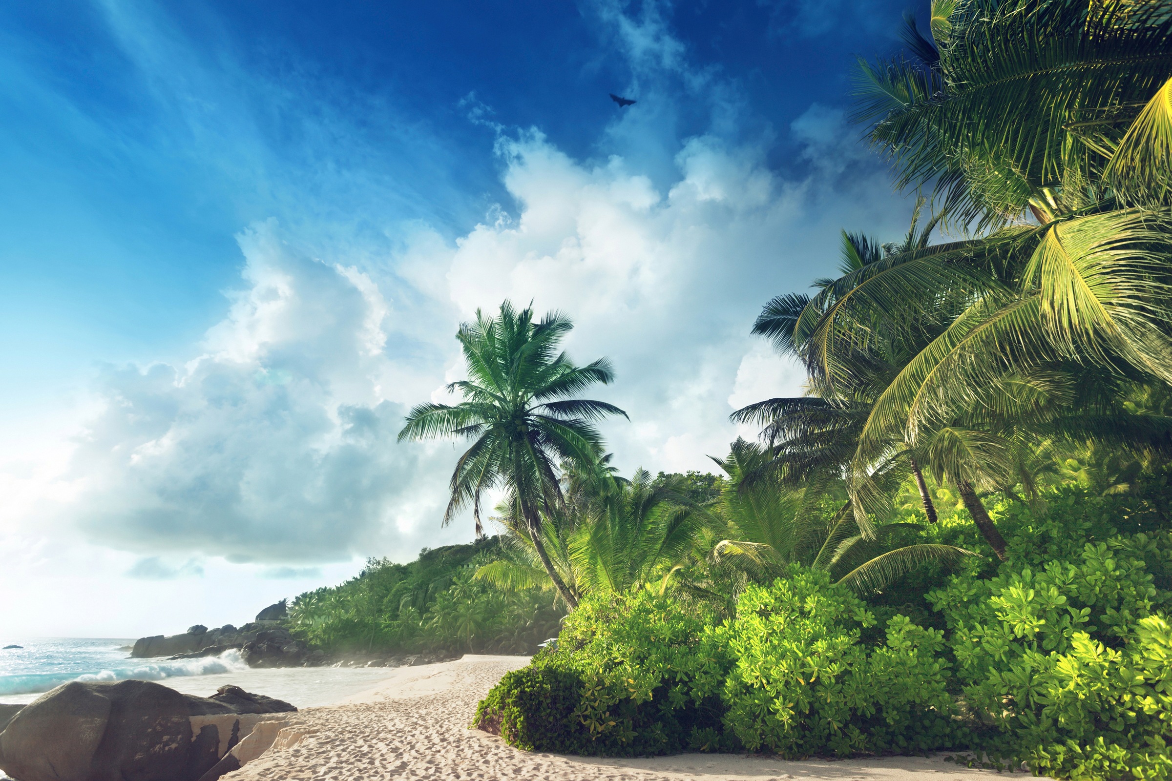 Papermoon Fototapete »PALMEN-STRAND-SEYCHELLEN TROPISCH INSEL AFRIKA KÜSTE«