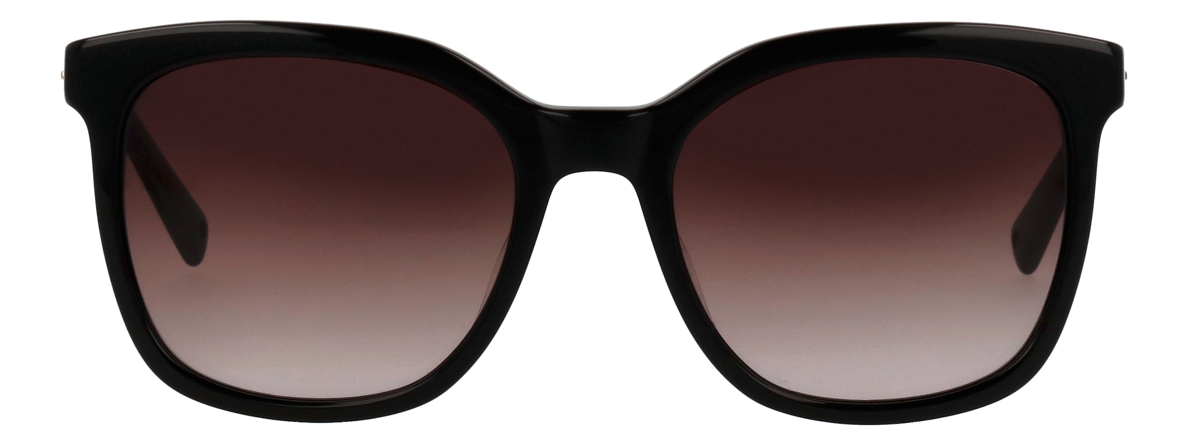 BRENDEL eyewear Sonnenbrille »Modell 906207« Form Karree/Eckig, Logoschriftzug auf Bügel, Kunststofffassung