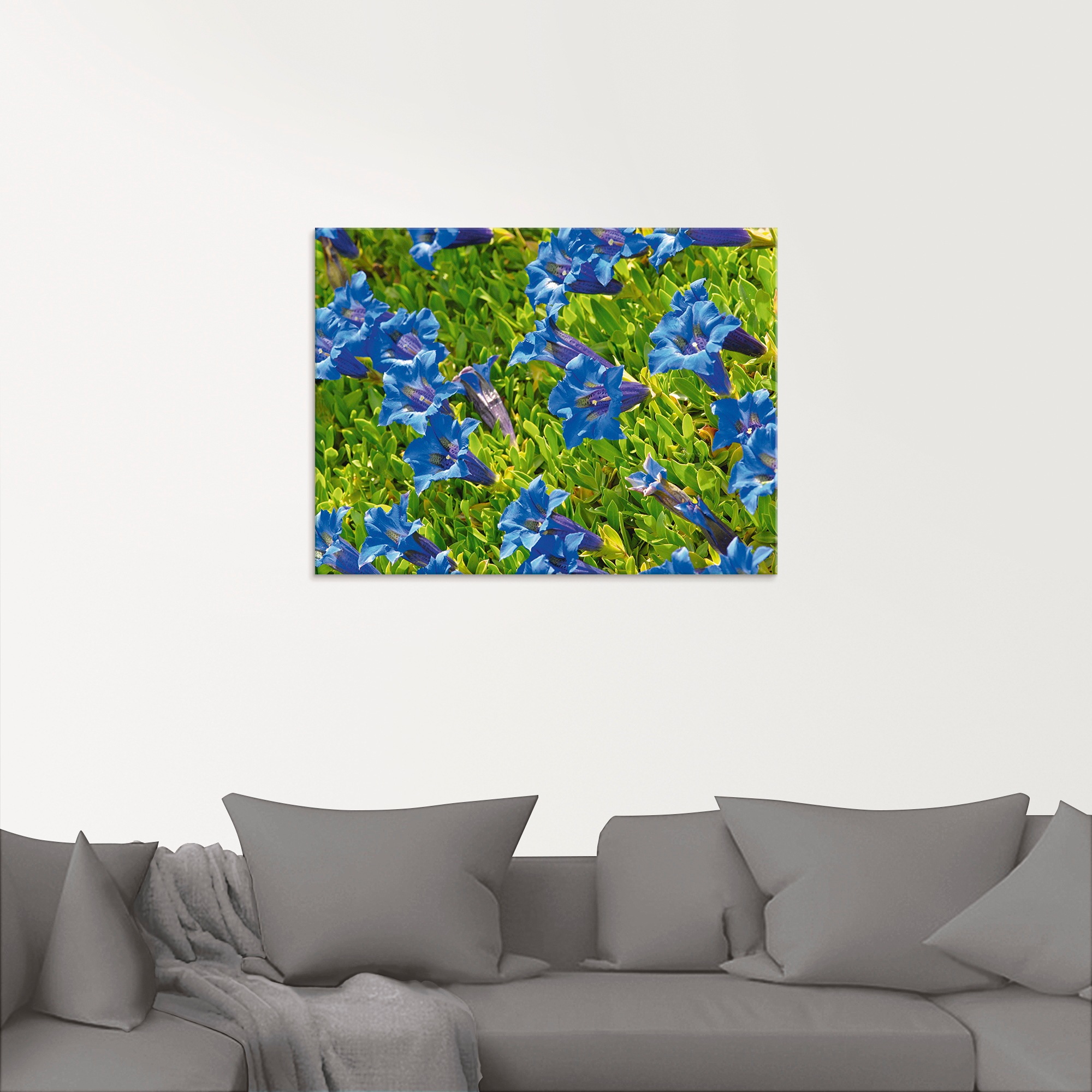 Artland Glasbild »Enzian«, Blumenwiese, (1 St.), in verschiedenen Größen