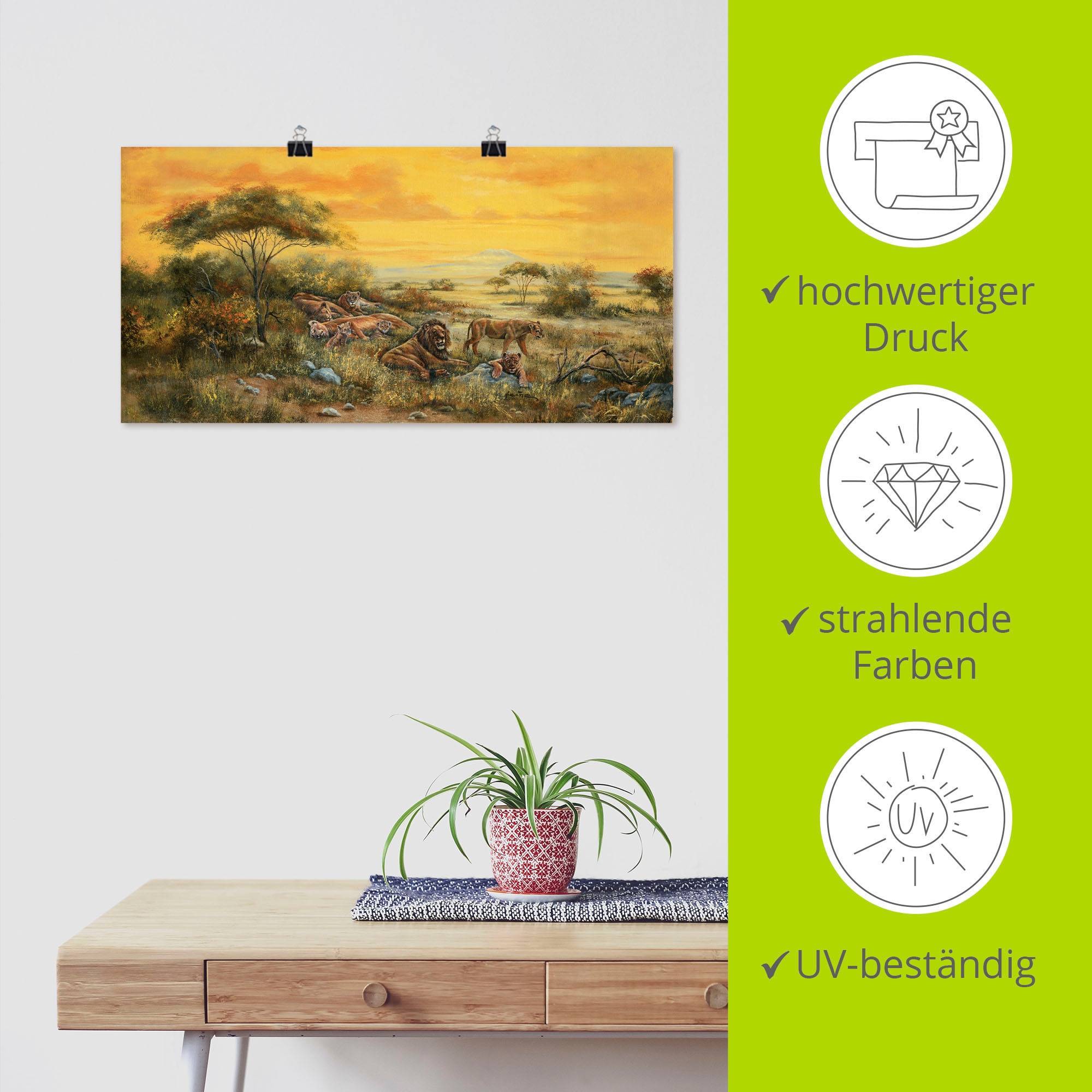 Artland Wandbild »Löwen in der Steppe«, Bilder von Afrika, (1 St.), als Alubild, Leinwandbild, Wandaufkleber oder Poster in versch. Größen