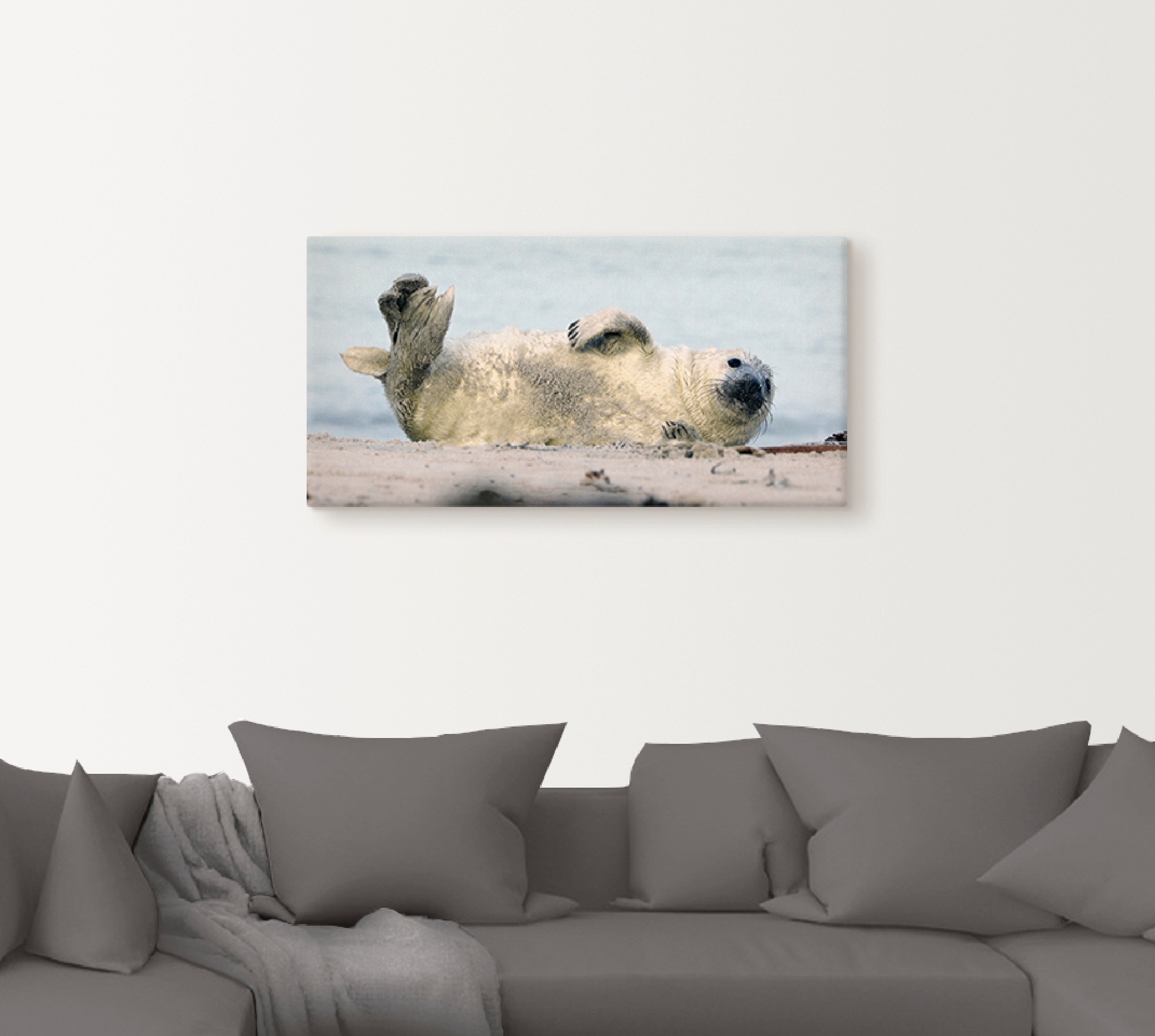 Artland Wandbild »Kegelrobben-Baby II«, Wassertiere, (1 St.), als Alubild, Leinwandbild, Wandaufkleber oder Poster in versch. Größen