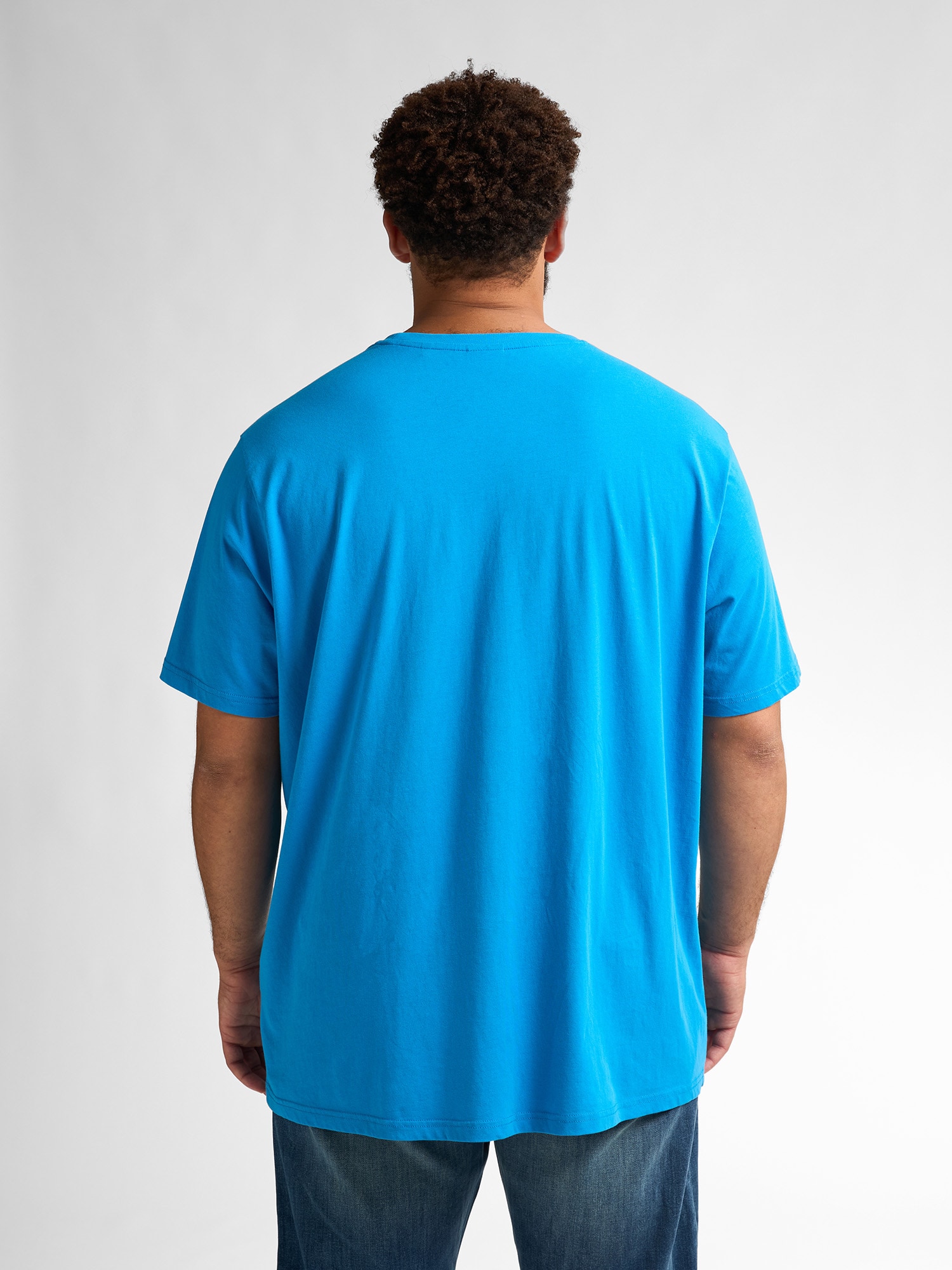 Petrol Industries Rundhalsshirt, mit Logo Stickerei
