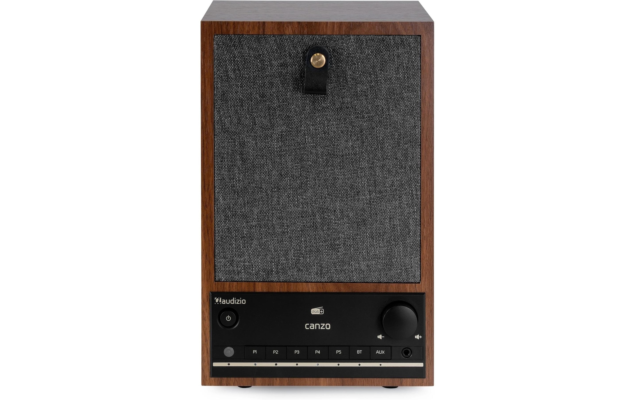 AUDIZIO Digitalradio (DAB+) »Internet Canzo« ( )