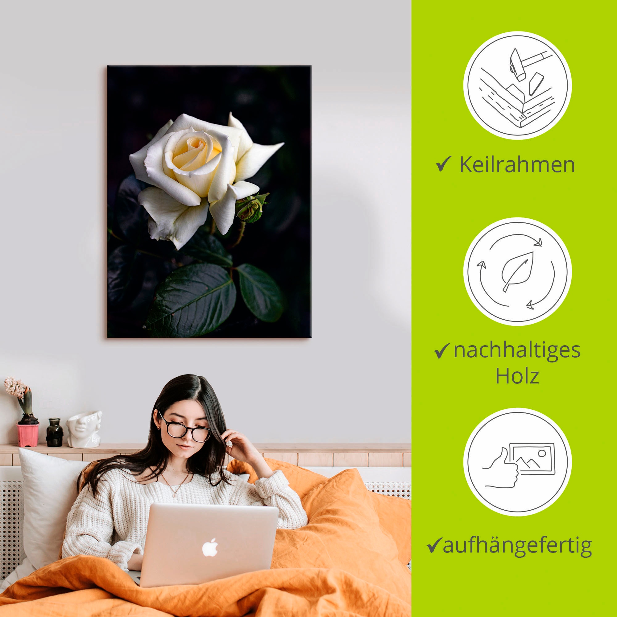 Artland Wandbild »Weiß-gelbe Rose«, Blumen, (1 St.), als Leinwandbild, Poster in verschied. Größen