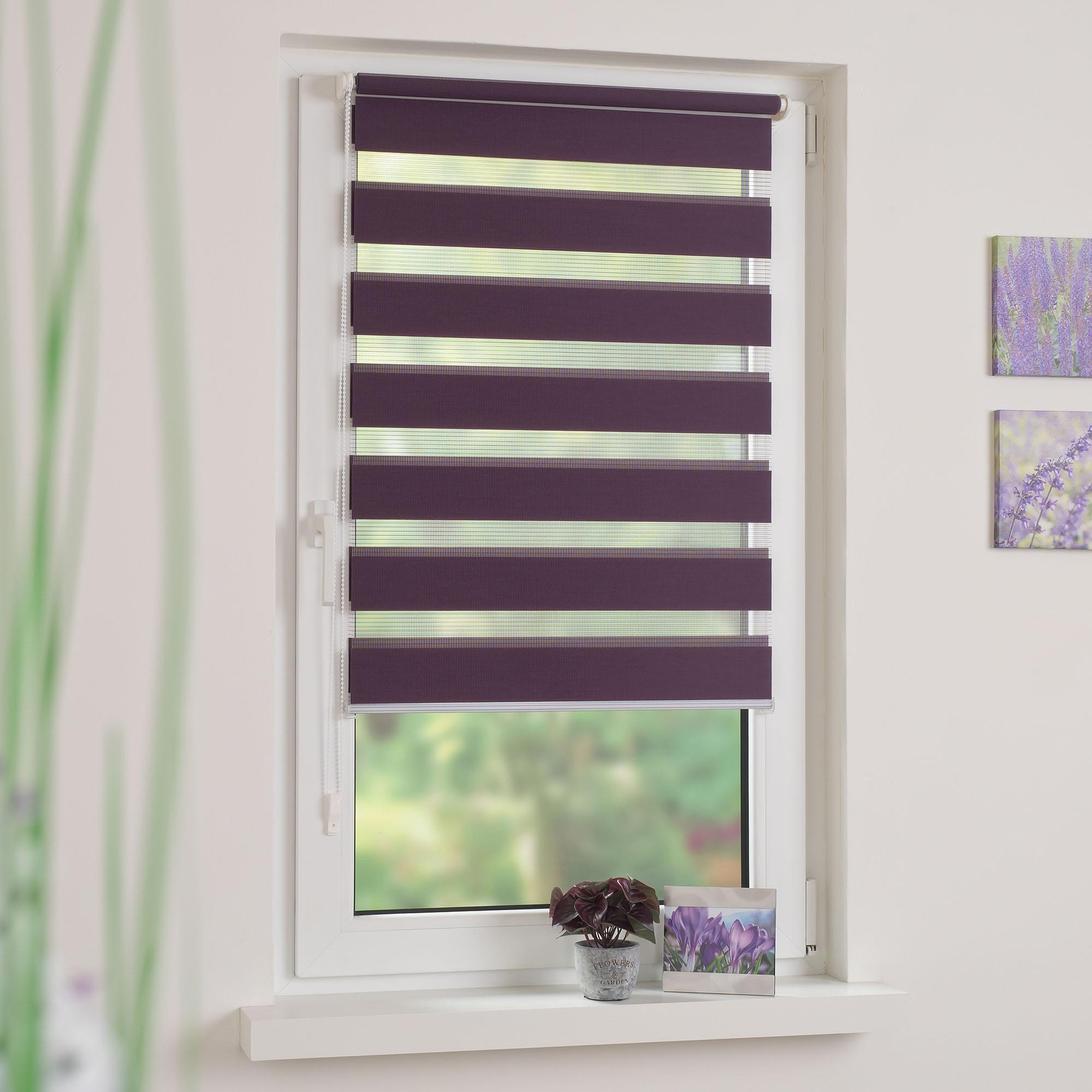 Liedeco Doppelrollo »Klemmfix-Duo-Rollo«, Lichtschutz, ohne Bohren, 1 Stück