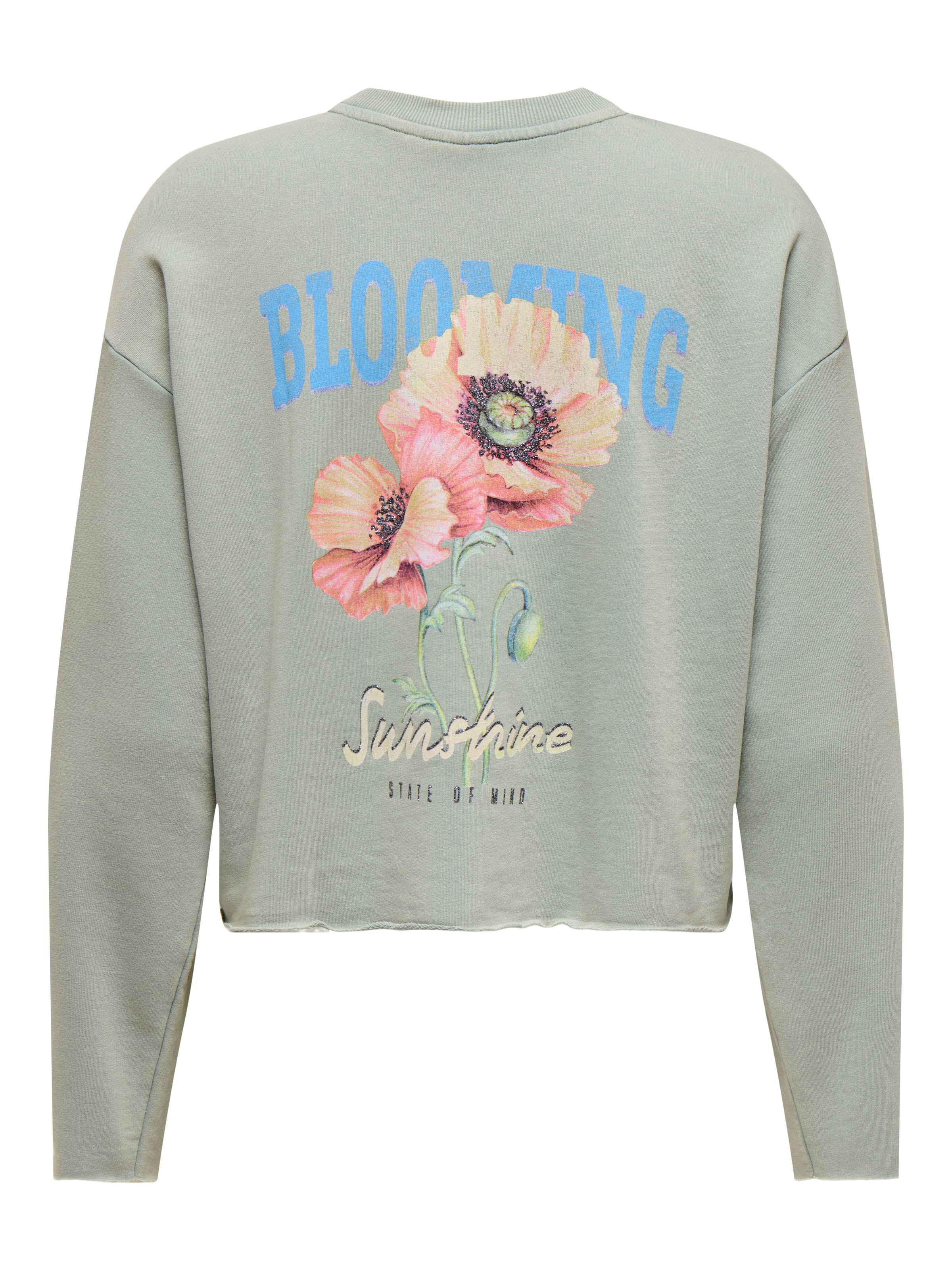 ONLY Sweatshirt "ONLLUCINDA L/S FLOWERS O-NECK UB SWT" günstig online kaufen