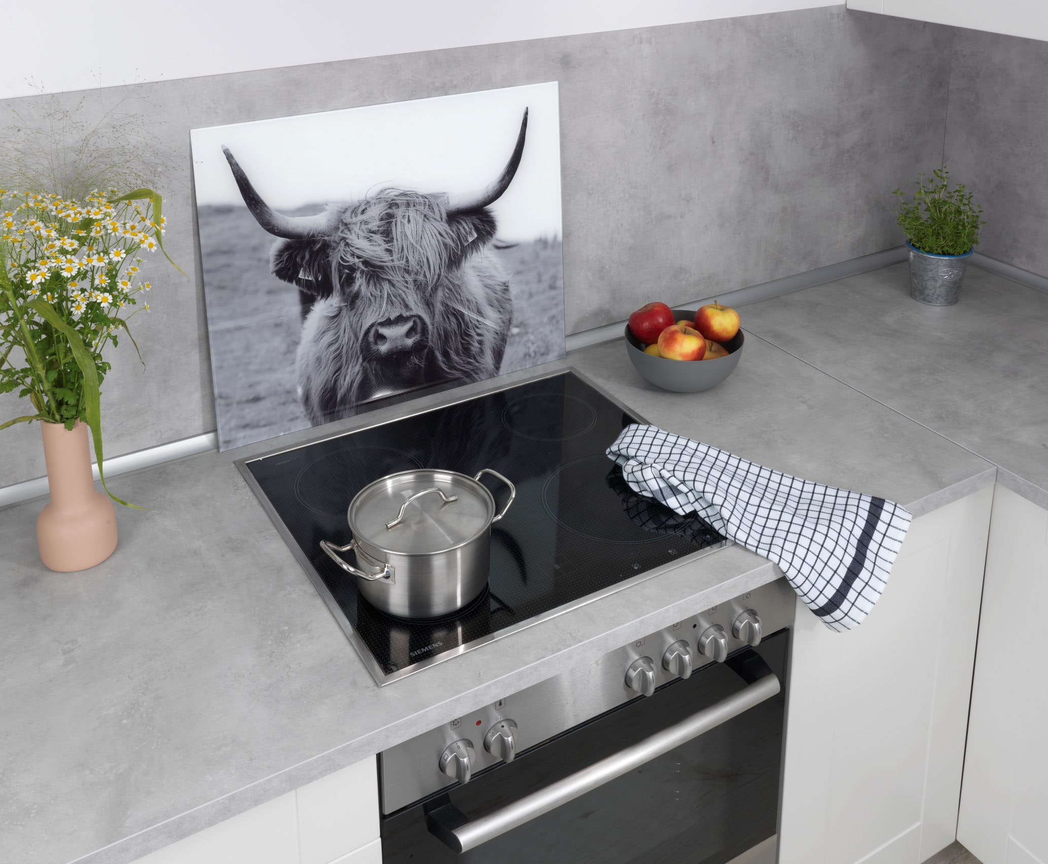 WENKO Küchenrückwand »Highland Cattle«, gehärtetes Glas, 60x50 cm