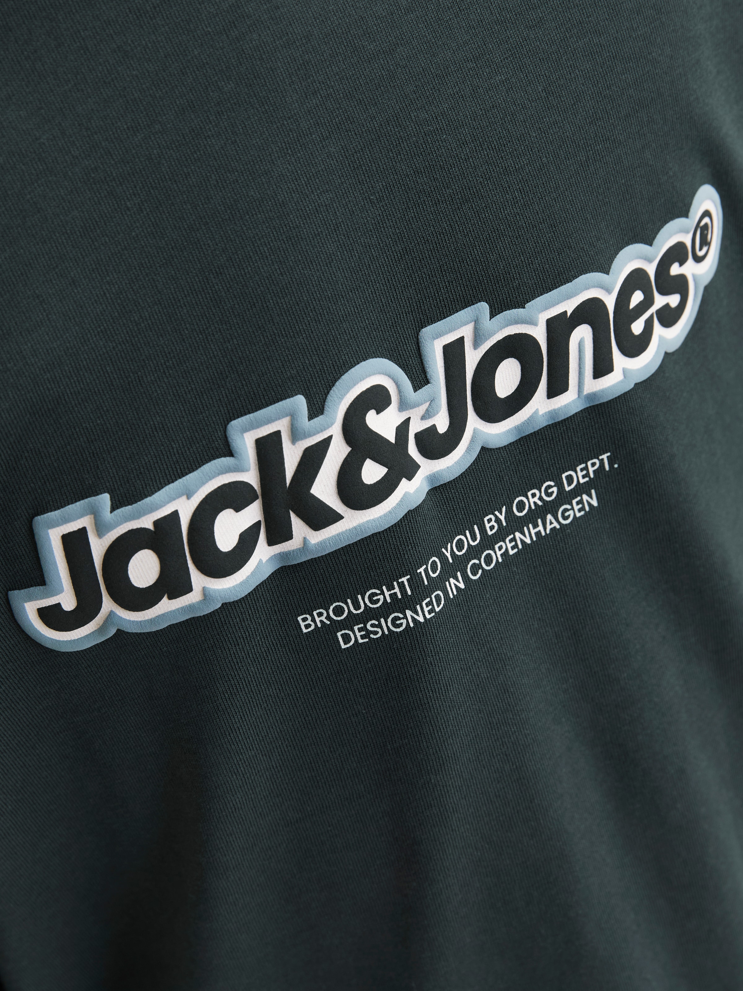 Jack & Jones Junior Langarmshirt »JORVESTERBRO NEWTON BRNDG TEE LS BF JNR«