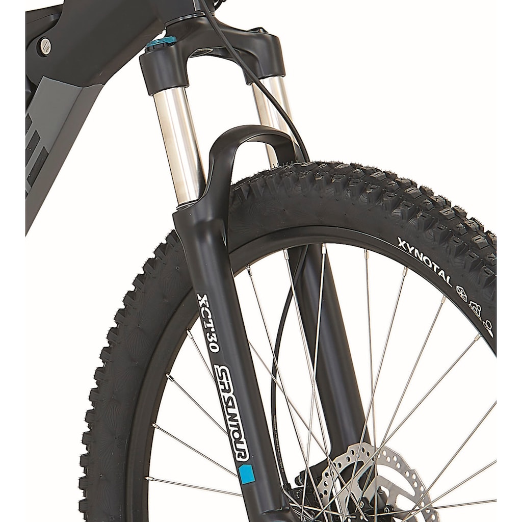 Prophete E-Bike »Prophete DICE 4.8«, 10 Gang, Shimano, Deore XT, Mittelmotor 250 W