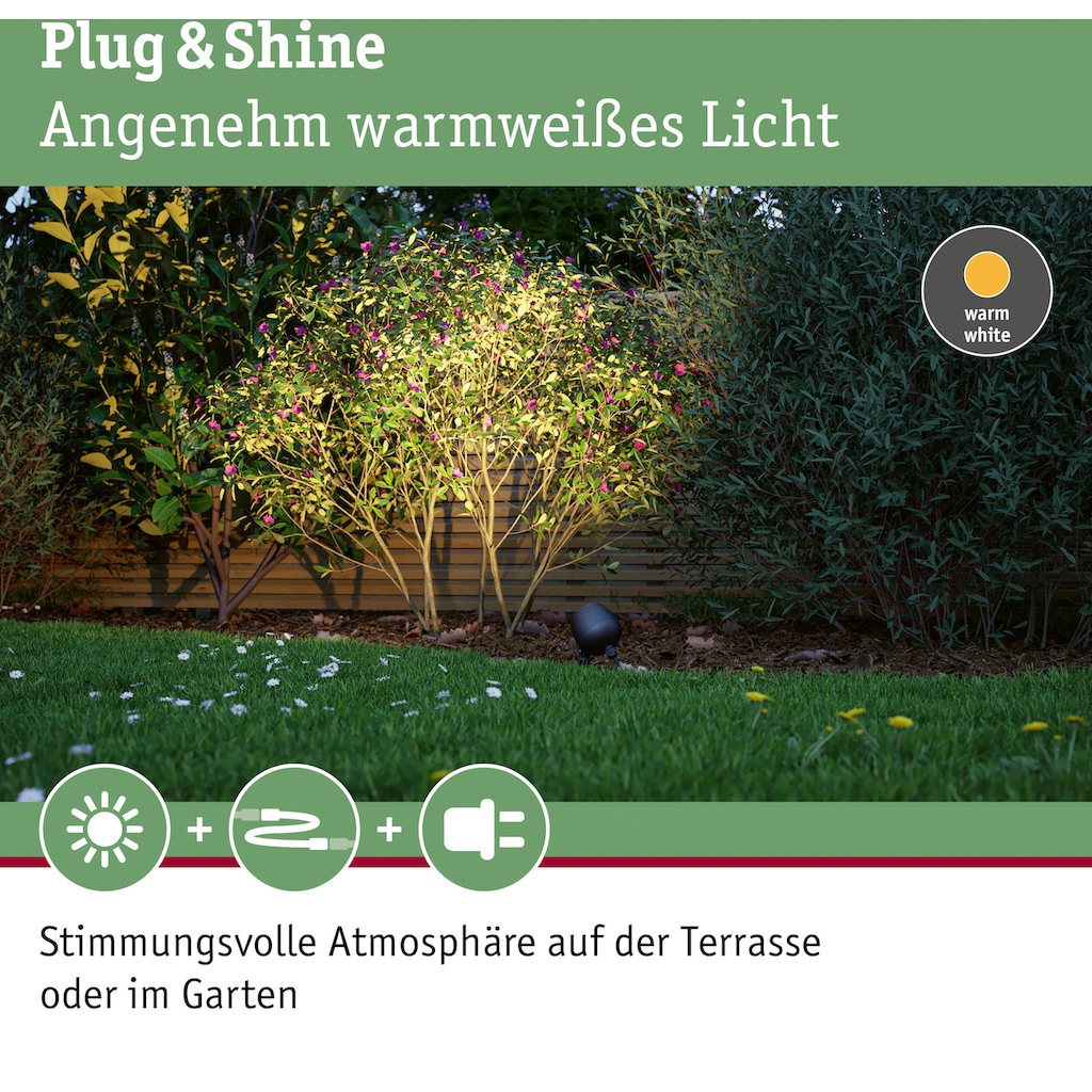 Paulmann LED Gartenleuchte »Outdoor Plug & Shine Spot Kikolo 20° 3000K anthrazit«, 1 flammig-flammig