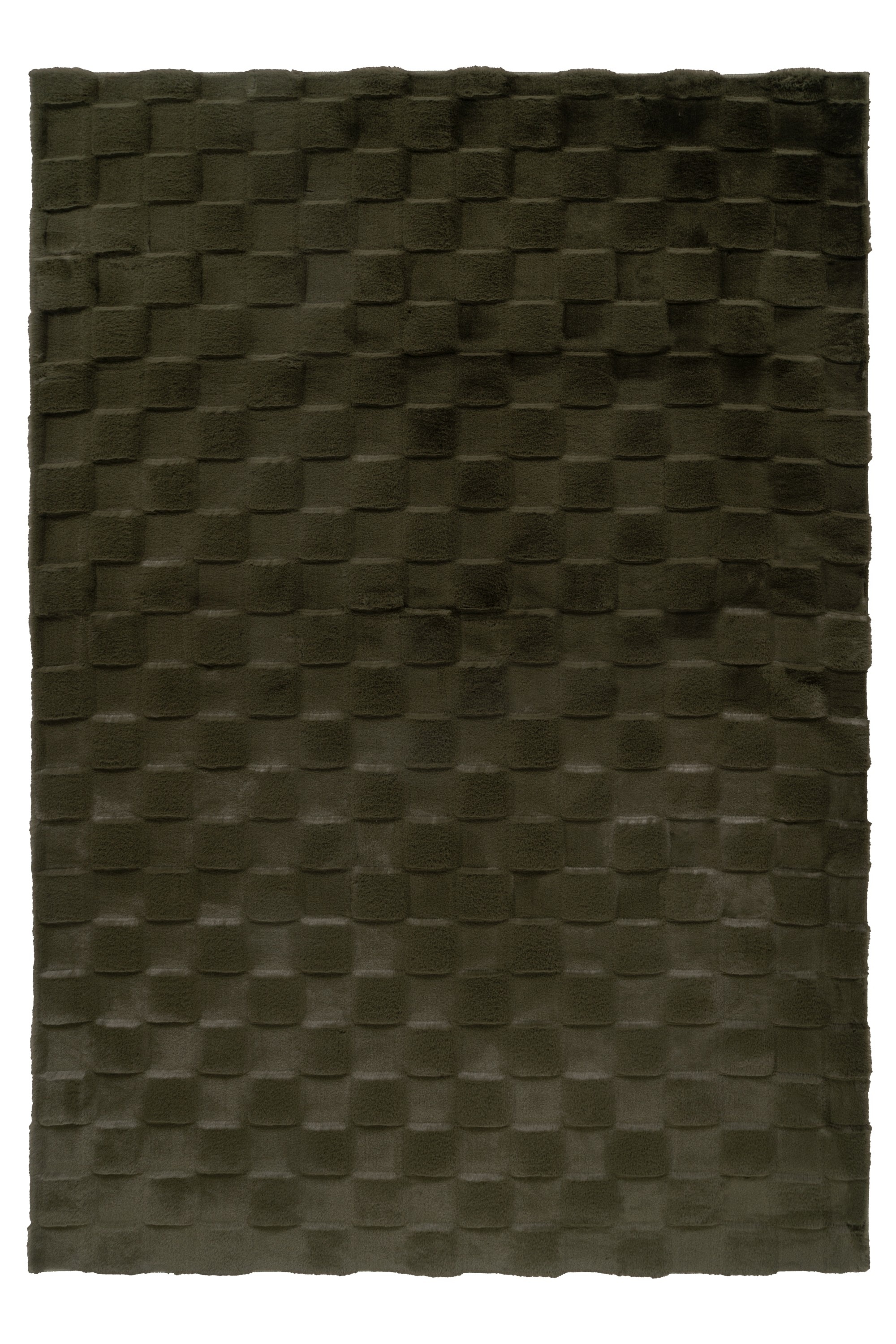 Teppich KAYOOM "Botany 625", grün, B:160cm H:18mm L:230cm, Polyester, Teppiche, Teppich, weicher kuscheliger Kurzflor, Fellhaptik, alle Räume, viele Farben
