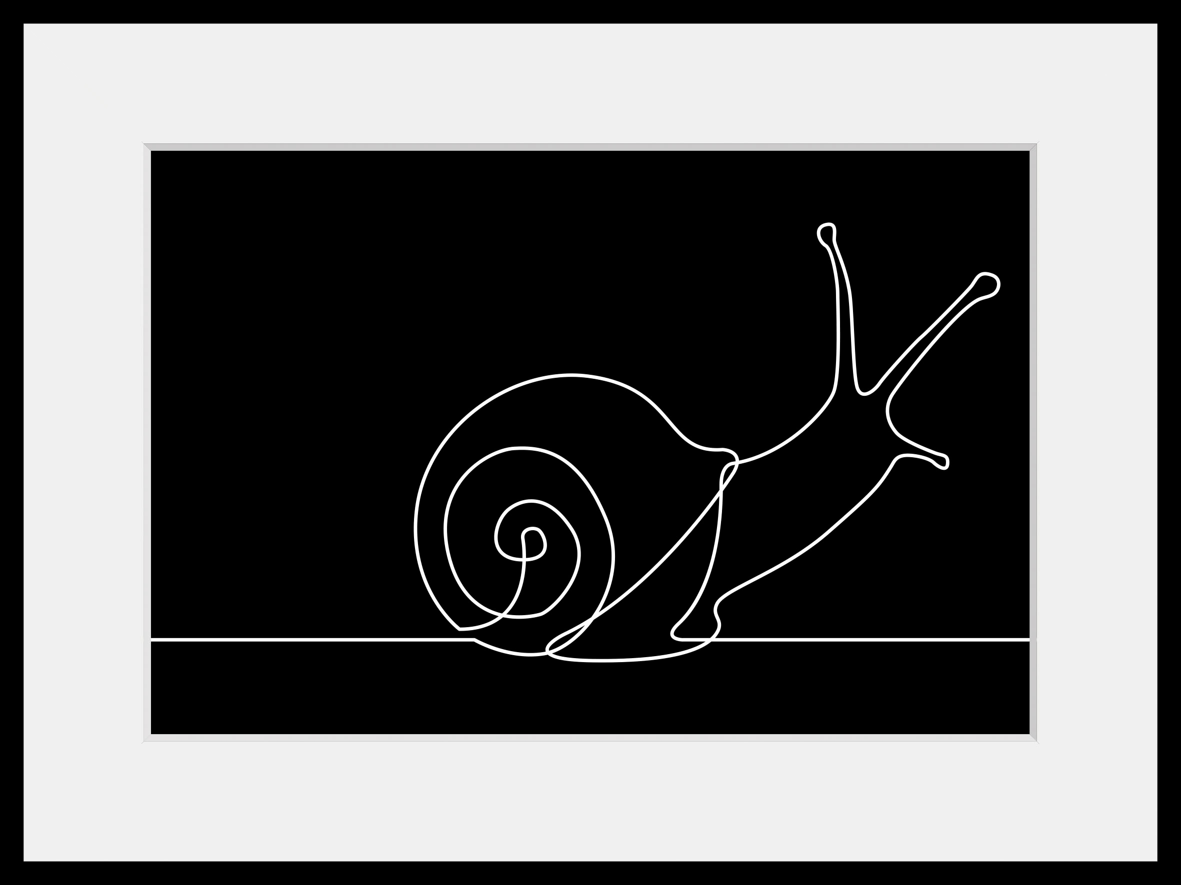 queence Bild "Schnecke", Tiere-Schwarz-Weiß-Figuren-Abstrakt, (1 St.), HD P günstig online kaufen