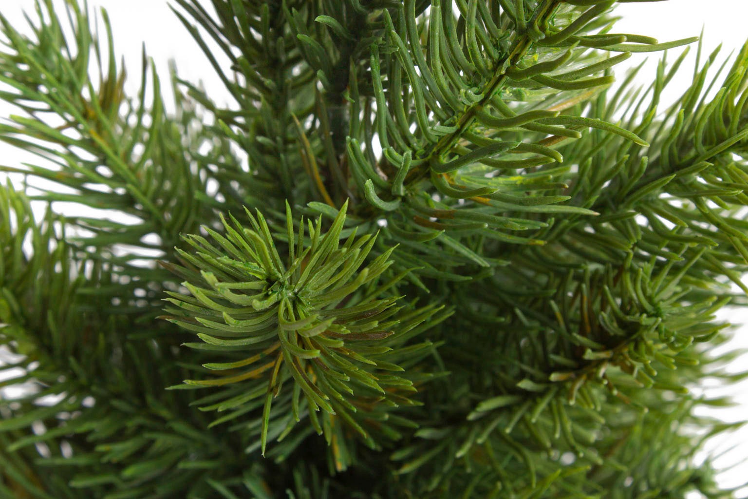 Botanic-Haus Künstliche Zimmerpflanze "Tannenbaum im braunem Kunststofftopf günstig online kaufen