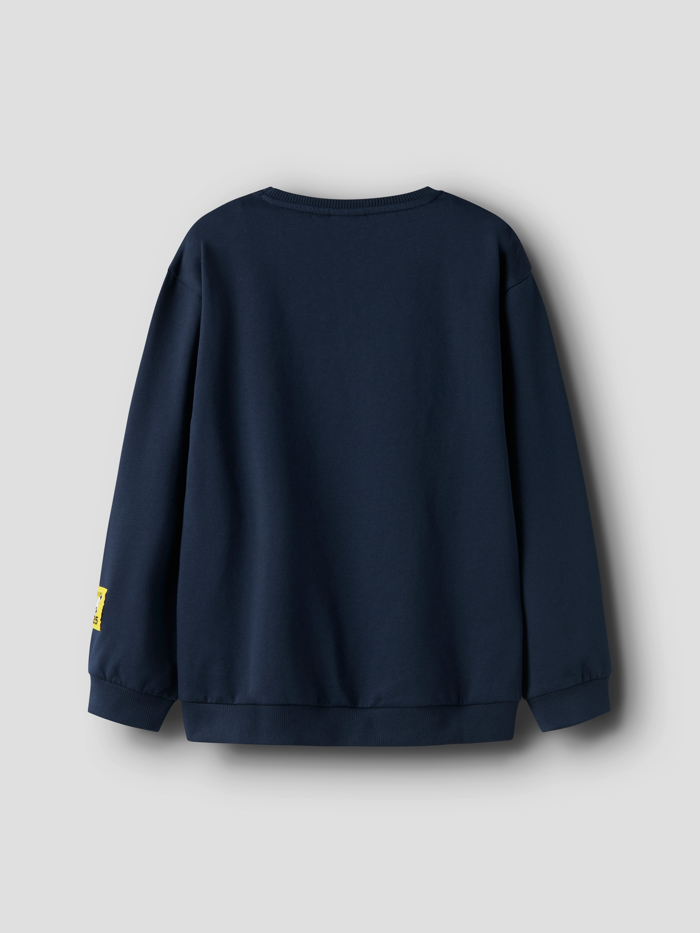 Name It Sweatshirt »NKMJOBI POKEMON NREG SWEAT BRU BOX SKY«
