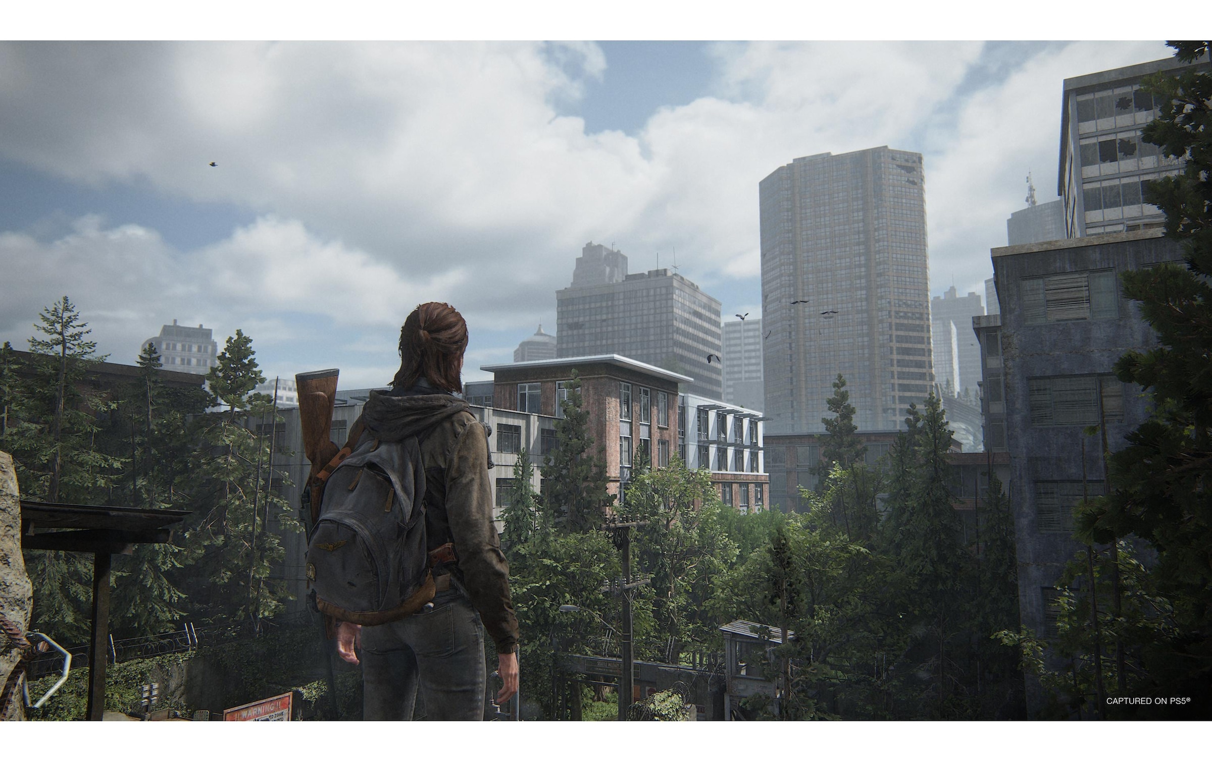 Sony Spielesoftware »The Last of Us Part II« PlayStation 5