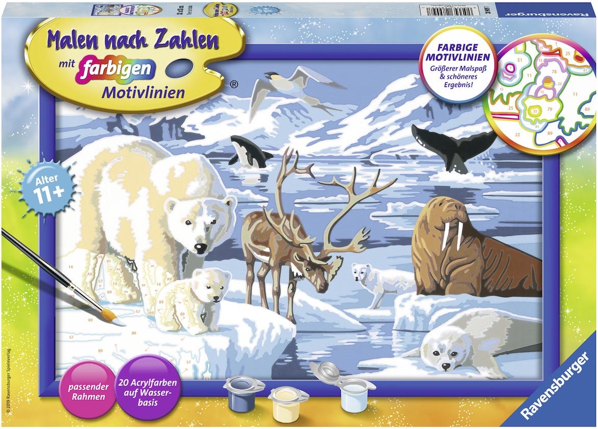 Ravensburger Malen nach Zahlen »Tiere der Arktis«, Made in Europe, FSC® - schützt Wald - weltweit
