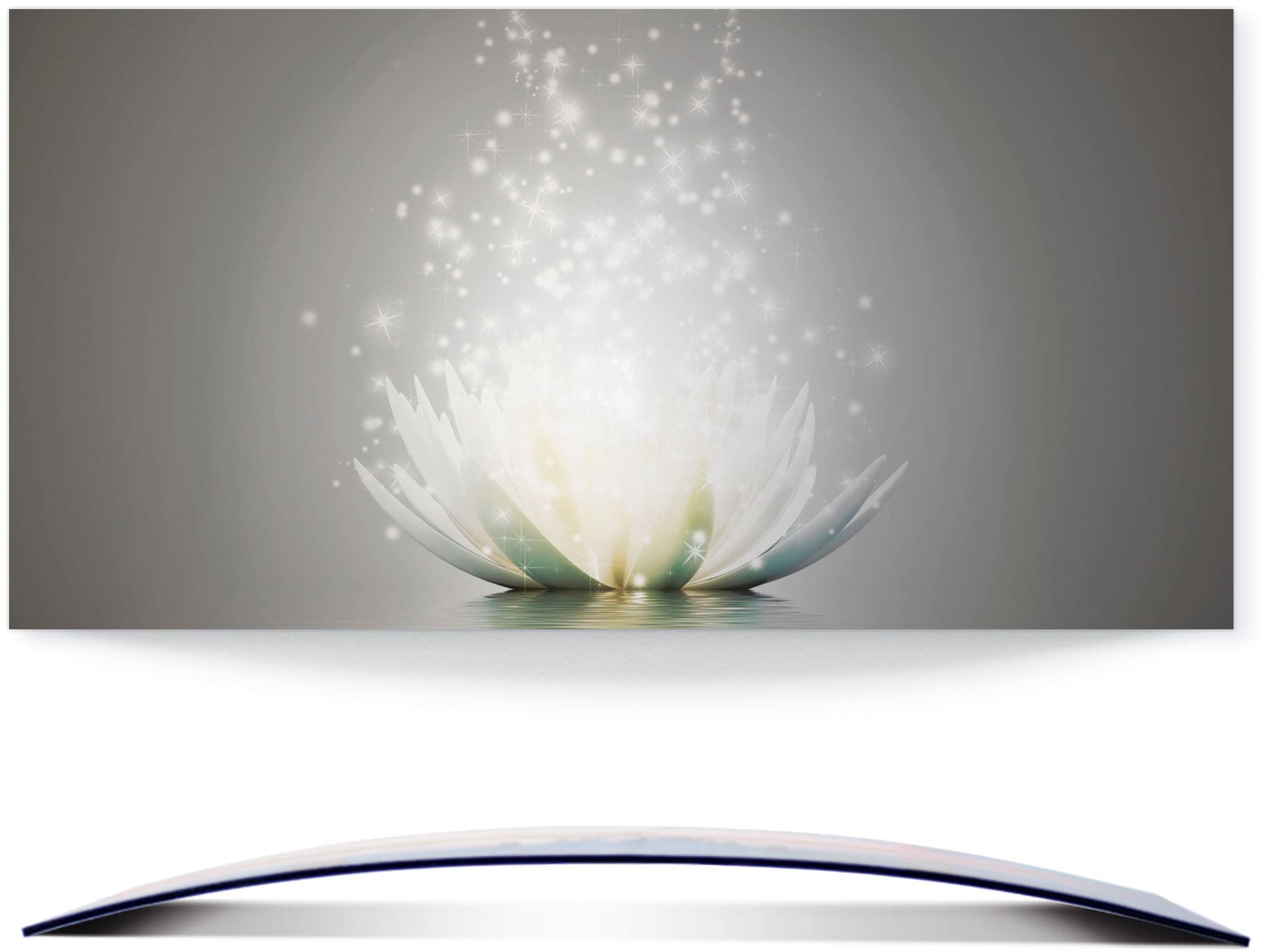 Artland Paveikslas »Magie der Lotus-Blume« Blu...
