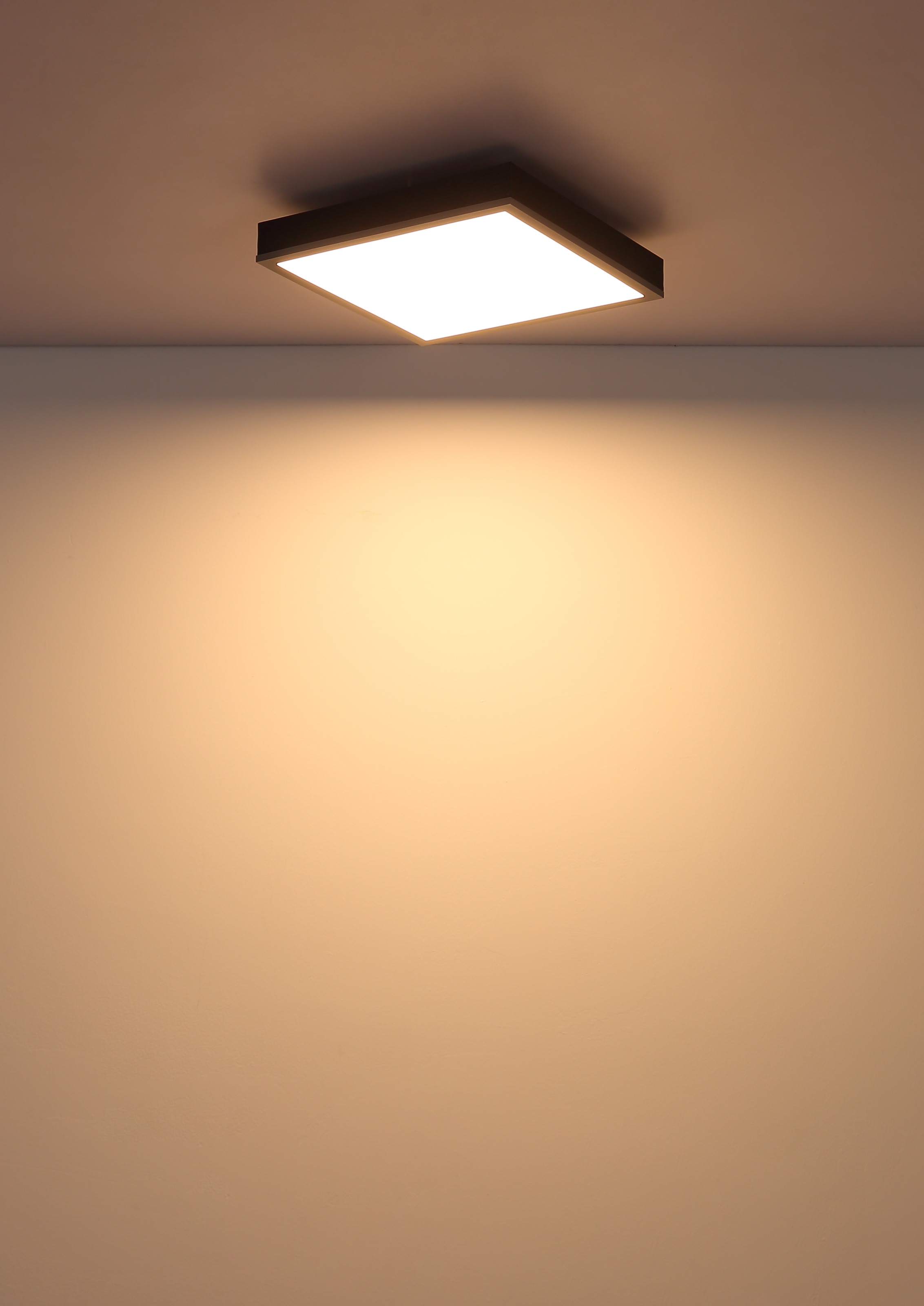 GLOBO LIGHTING Deckenleuchte »DORO« LED-Modul 1 Stk. Warmweiß Deckenlampe Wohnzimmer-Leuchte Schlafzimmer-Leuchte Flur Küche