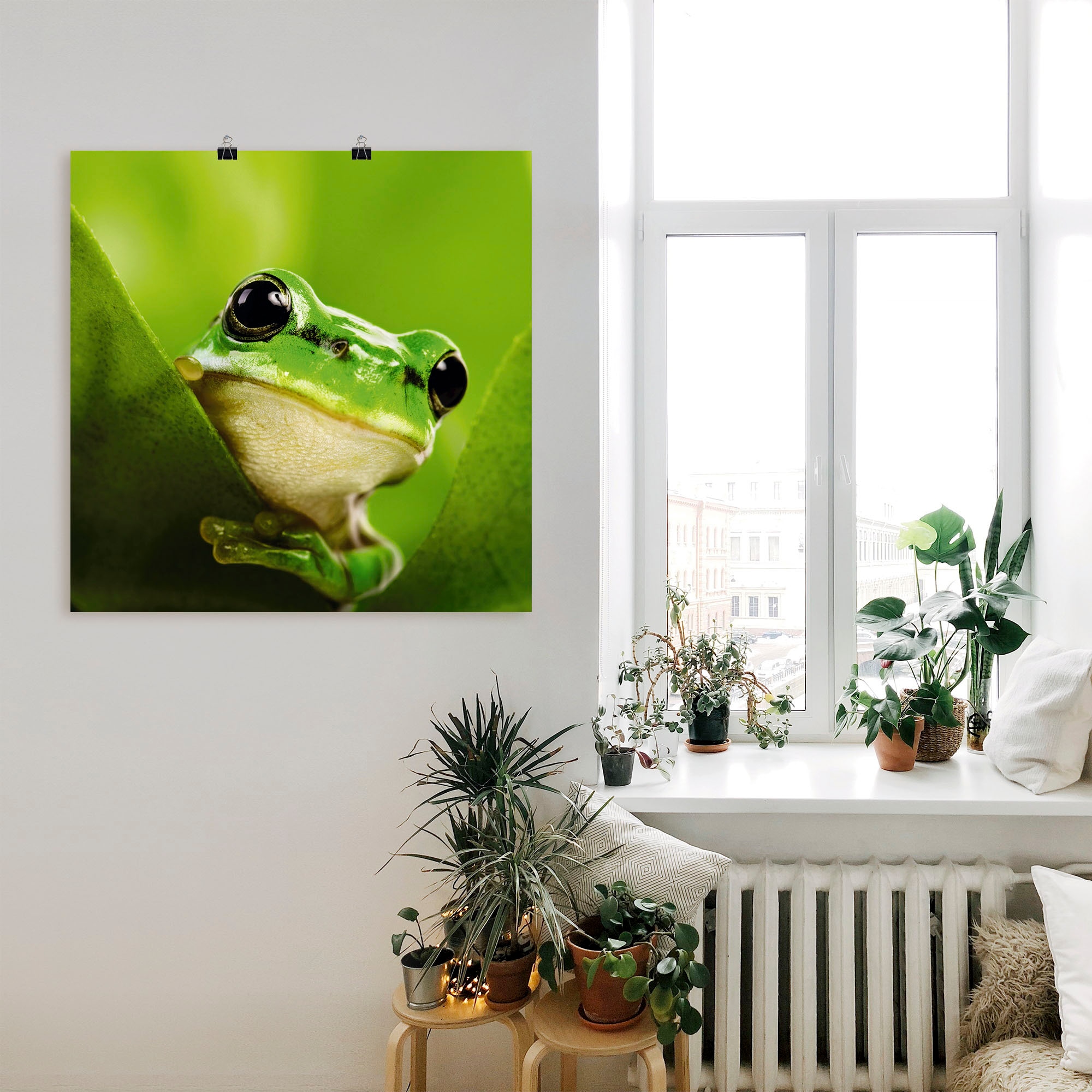 Artland Wandbild "Ausspähender Frosch", Wassertiere, (1 St.), als Leinwandb günstig online kaufen