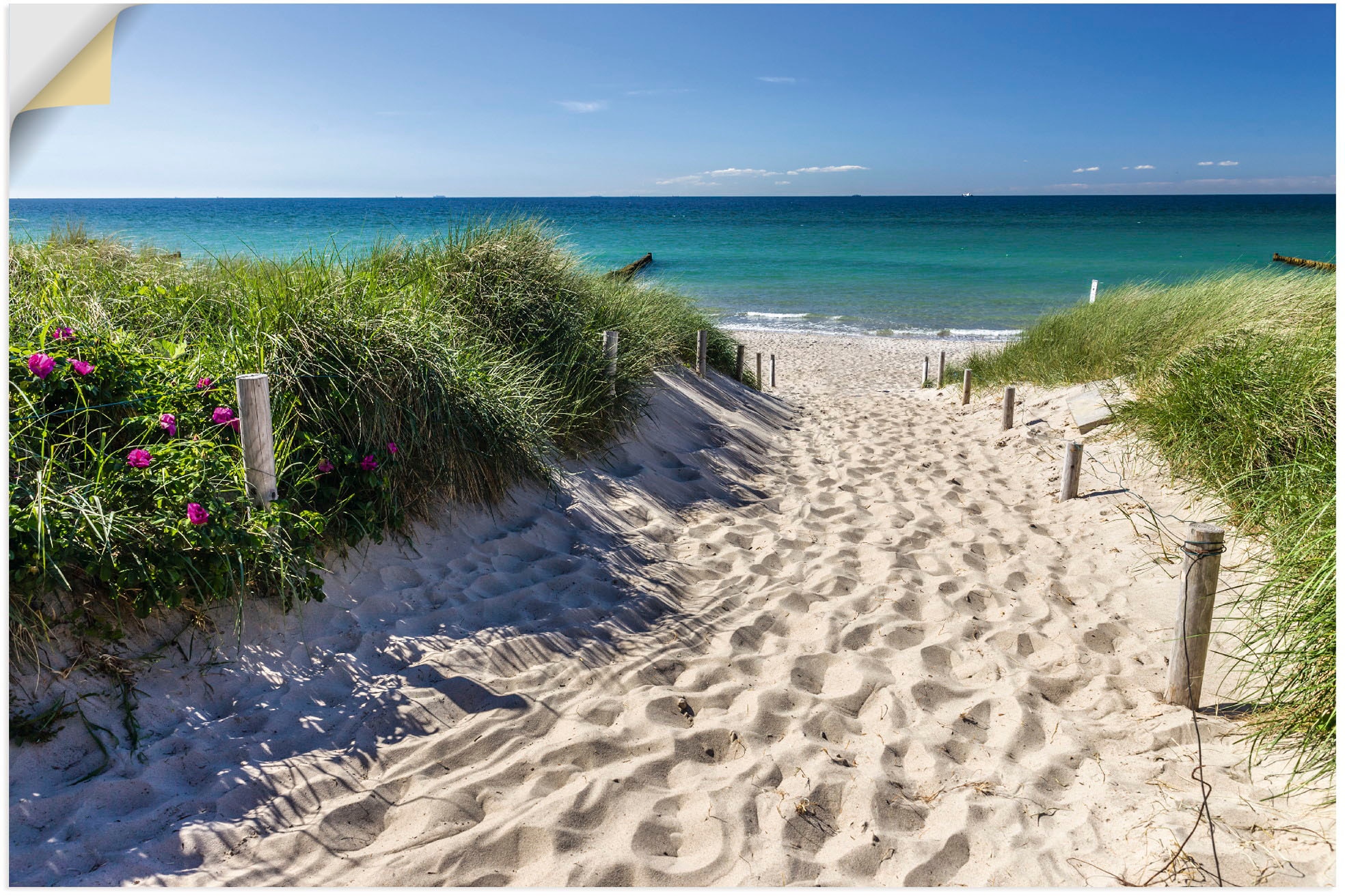 Artland Wandbild "Weg zum Strand an der Ostsee", Strandbilder, (1 St.), als Alubild, Outdoorbild, Leinwandbild, Poster, 