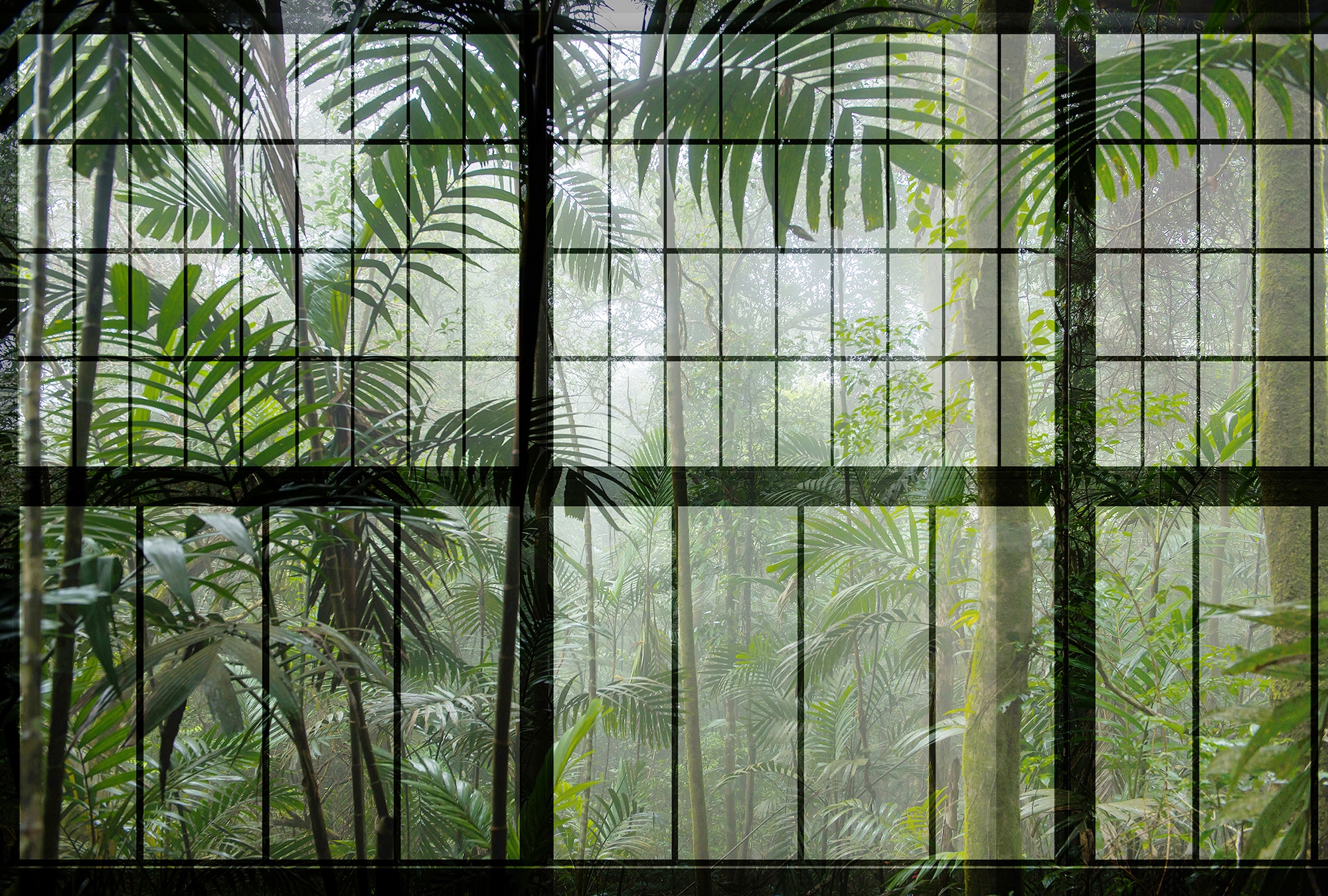 living walls Fototapete »Walls by Patel Rainforest 1«, Vlies, Wand, Schräge